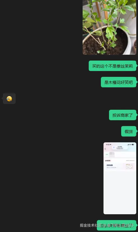 会飞的土豆2025于2026-04-17 14:17发布的图片