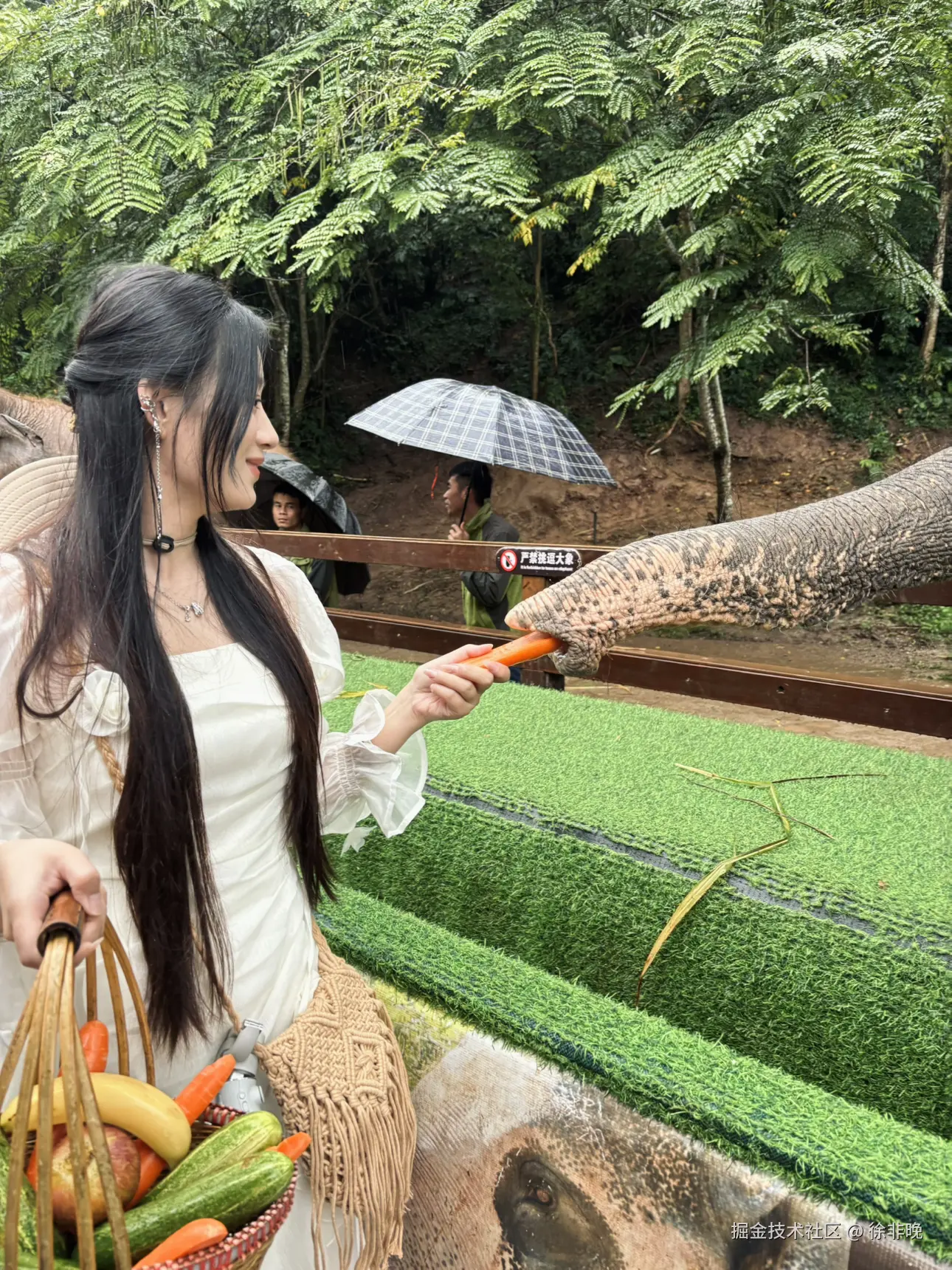 徐非晚于2024-12-03 14:37发布的图片