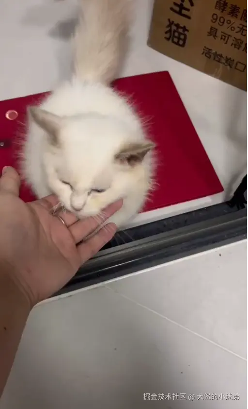 大鲨的小迷弟于2024-10-14 12:00发布的图片