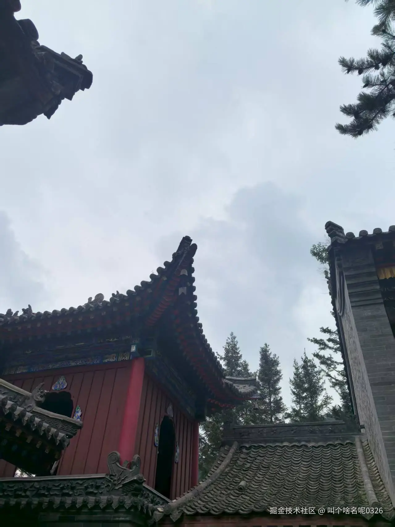 叫个啥名呢0326于2025-07-21 10:19发布的图片