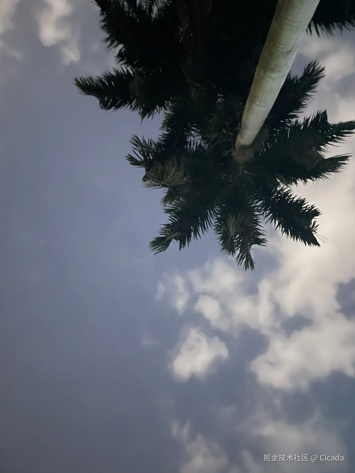 Cicada于2024-08-22 09:45发布的图片