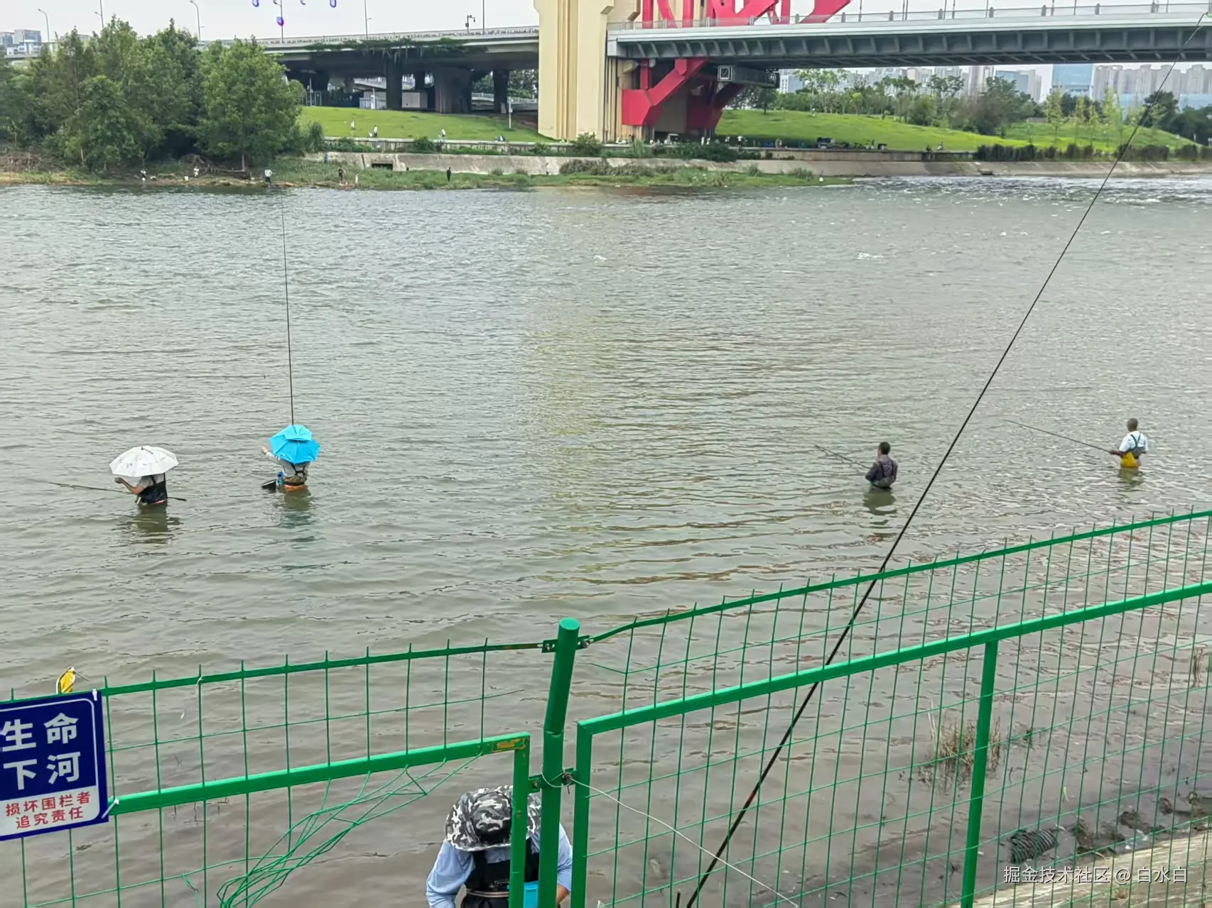 白水白于2025-08-18 09:06发布的图片