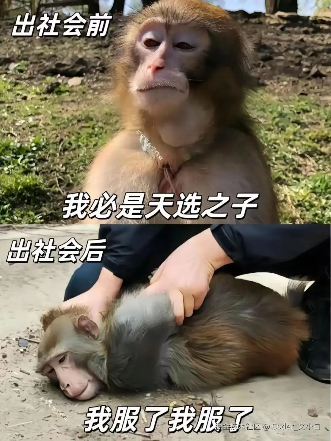 Coder_文小白于2024-07-30 09:10发布的图片