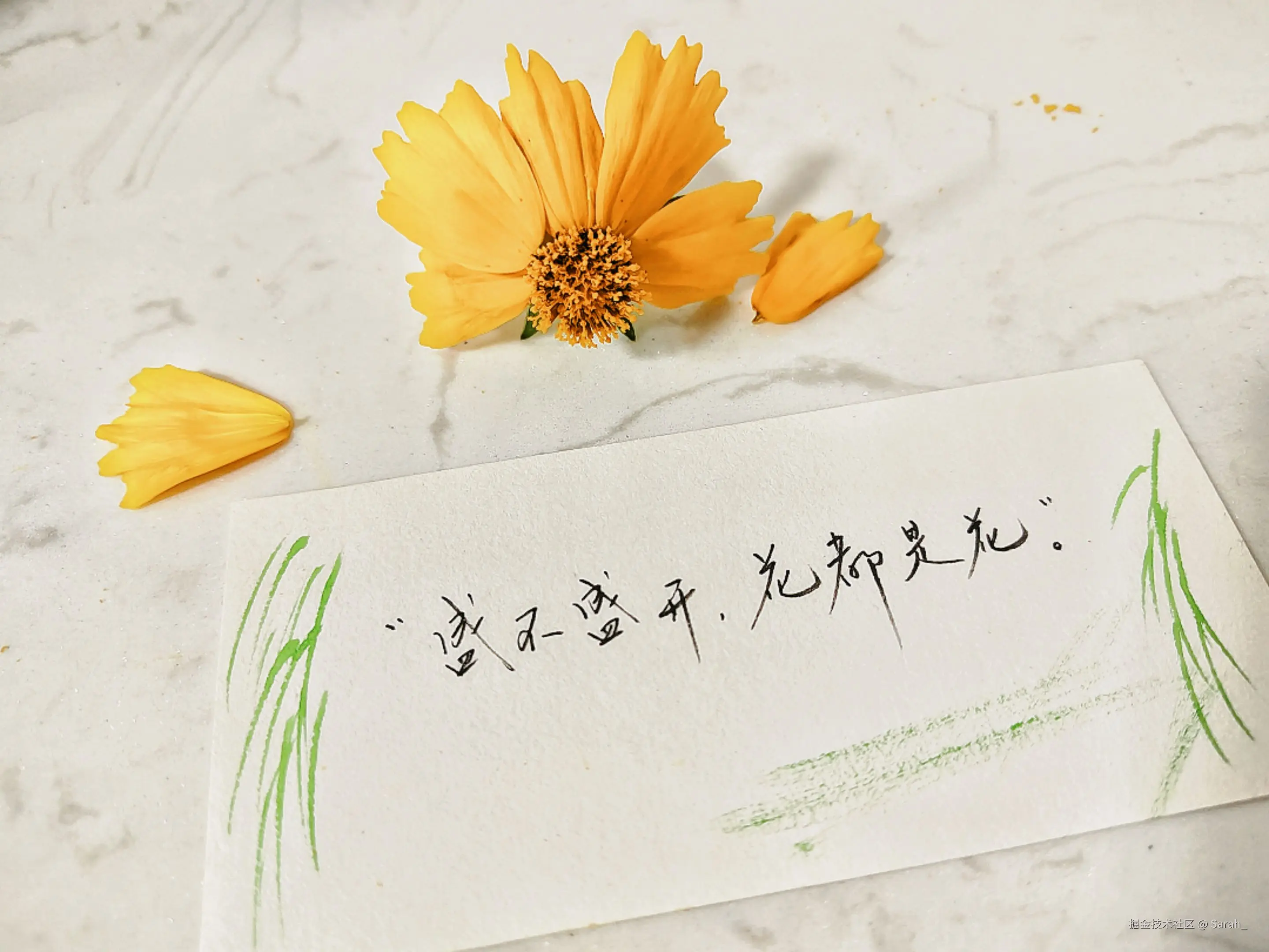 Sarah_于2025-05-28 08:33发布的图片