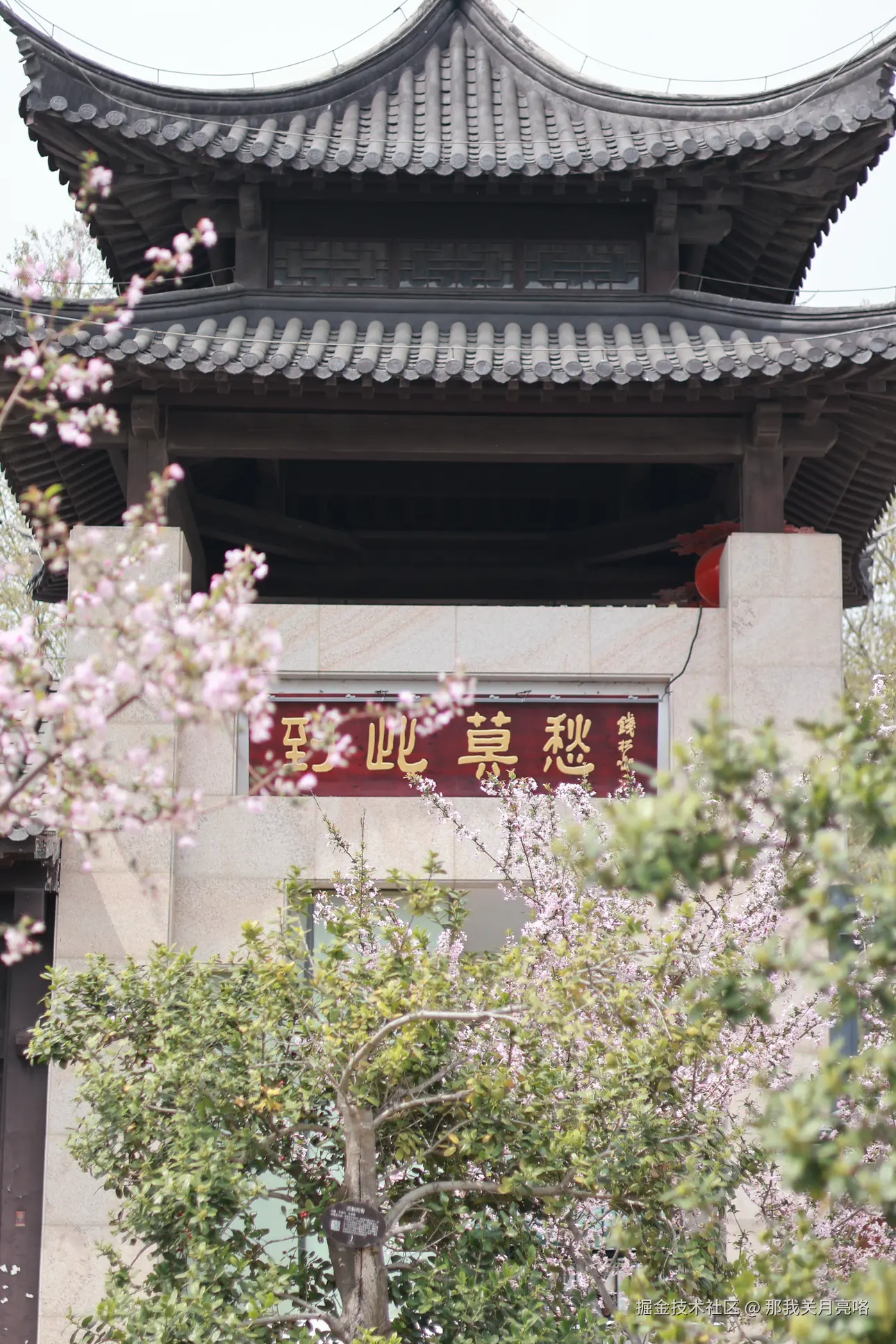 那我关月亮咯于2025-03-31 14:28发布的图片