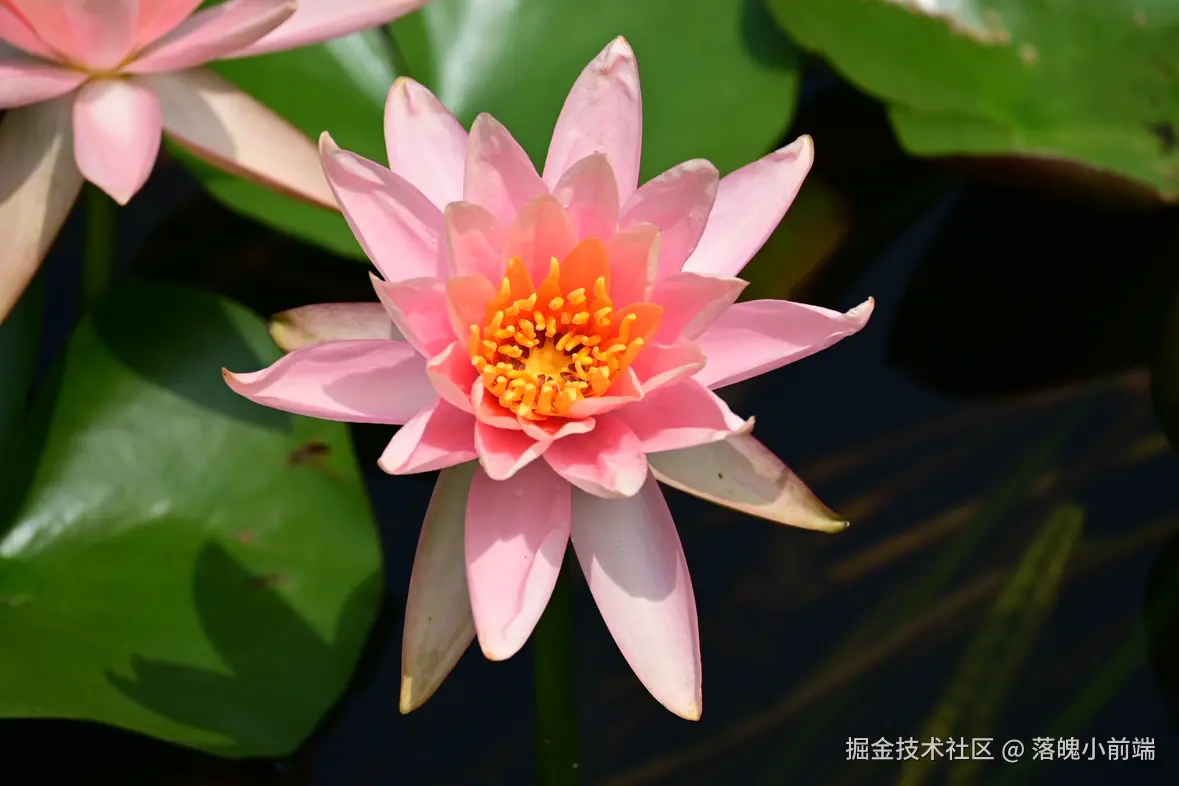 落魄小前端于2026-08-21 02:24发布的图片
