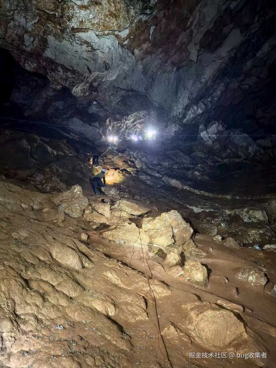 bug收集者于2025-08-11 11:32发布的图片