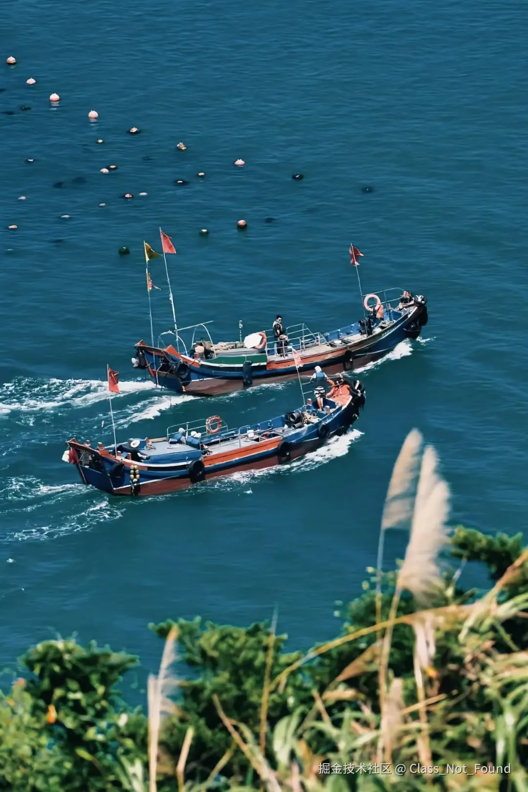 Class_Not_Found于2024-08-09 01:38发布的图片