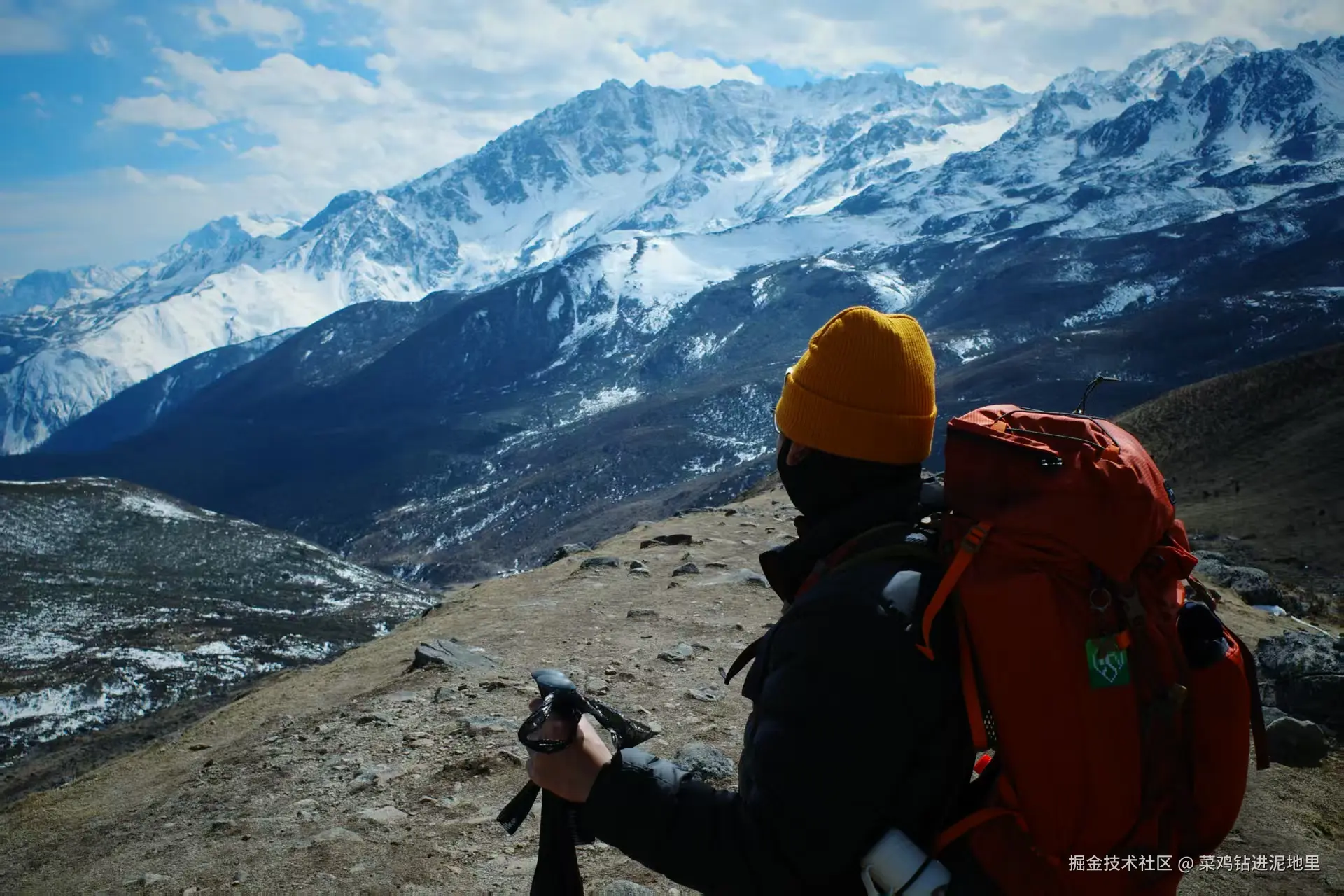 菜鸡钻进泥地里于2026-03-23 09:34发布的图片