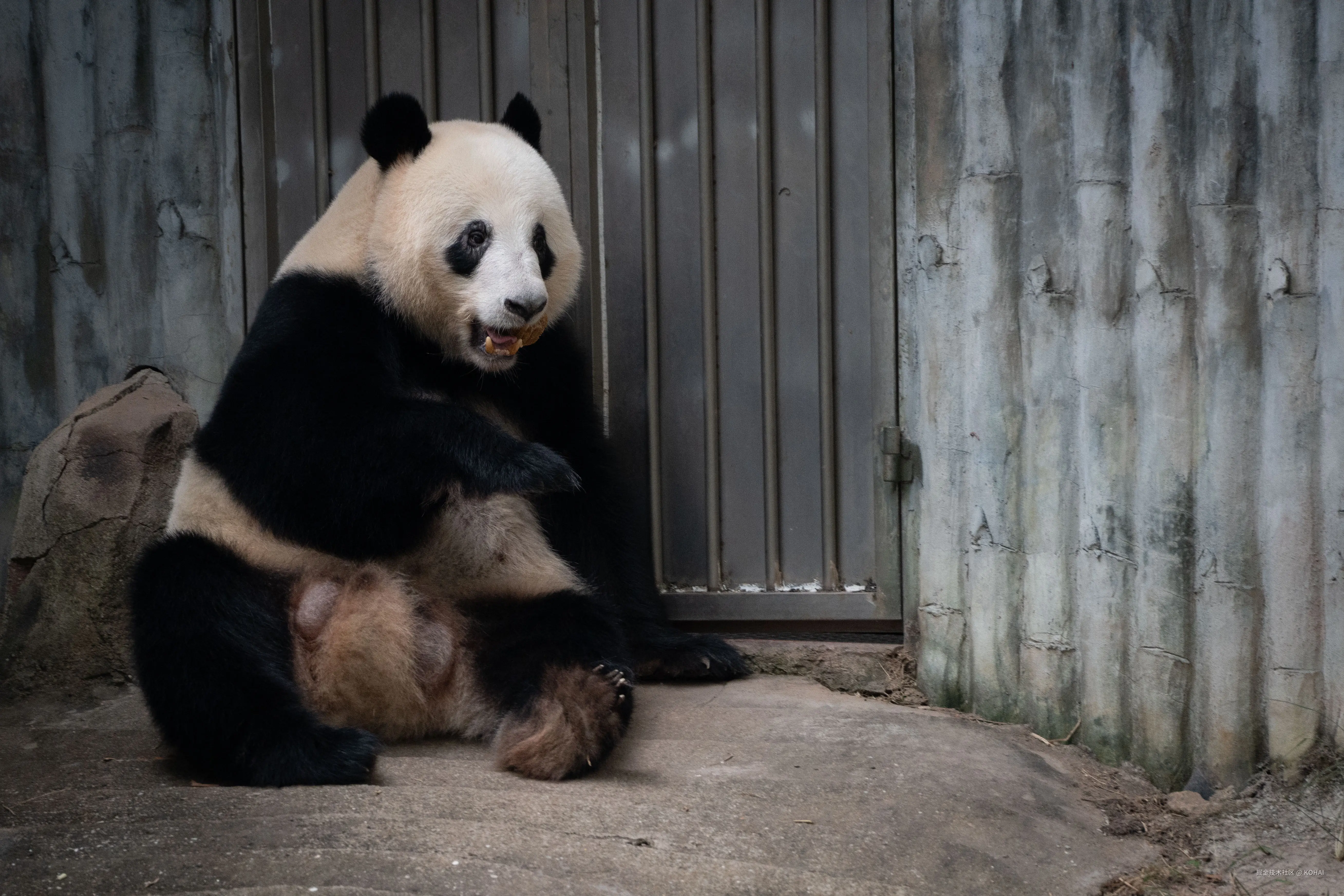 KOHAI于2024-11-04 23:36发布的图片