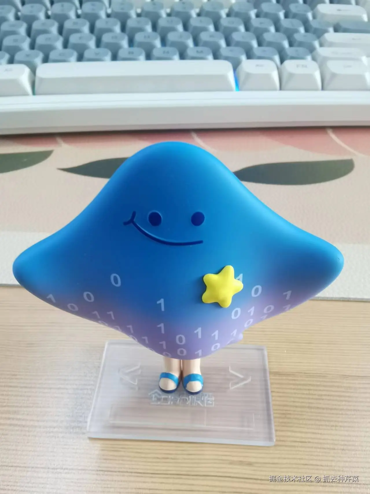 抓去种芹菜于2024-10-14 10:00发布的图片