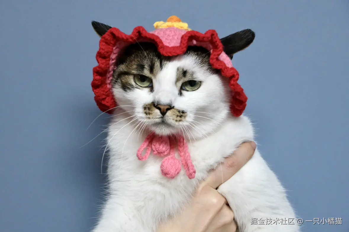 一只小橘猫于2026-02-02 10:27发布的图片