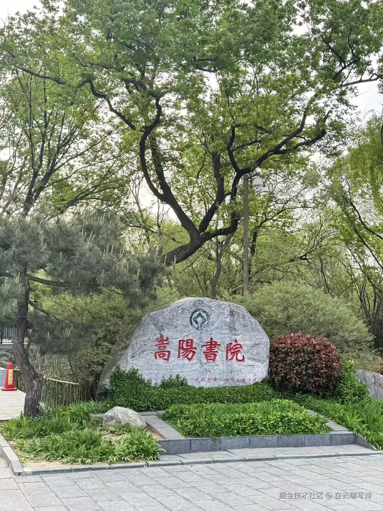 在云端写诗于2026-04-08 14:04发布的图片