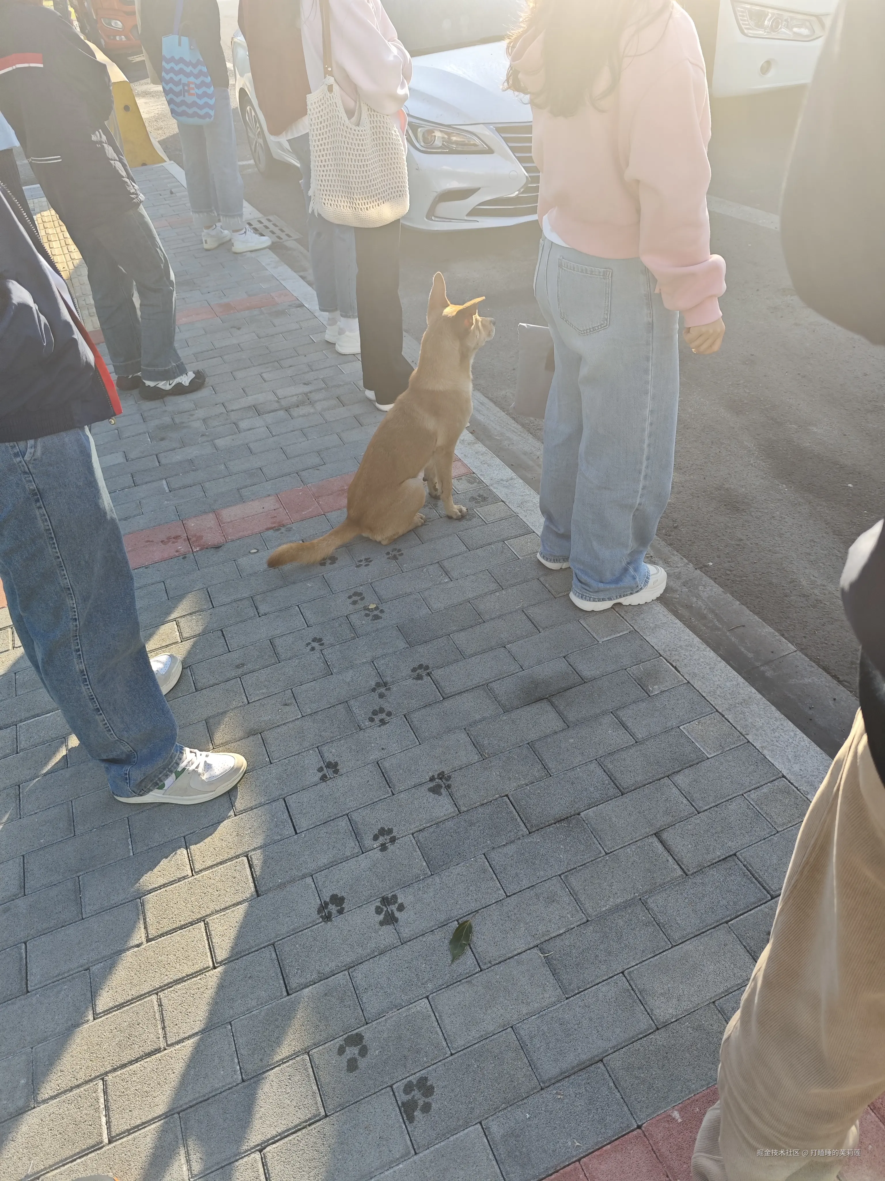 打瞌睡的芙莉莲于2025-10-29 08:36发布的图片