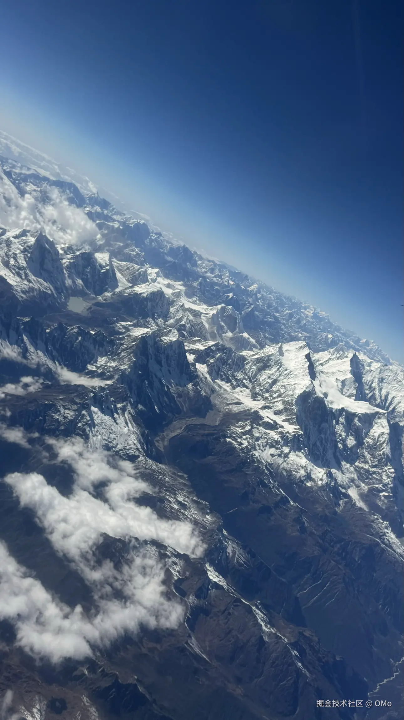 OMo于2026-01-27 11:50发布的图片