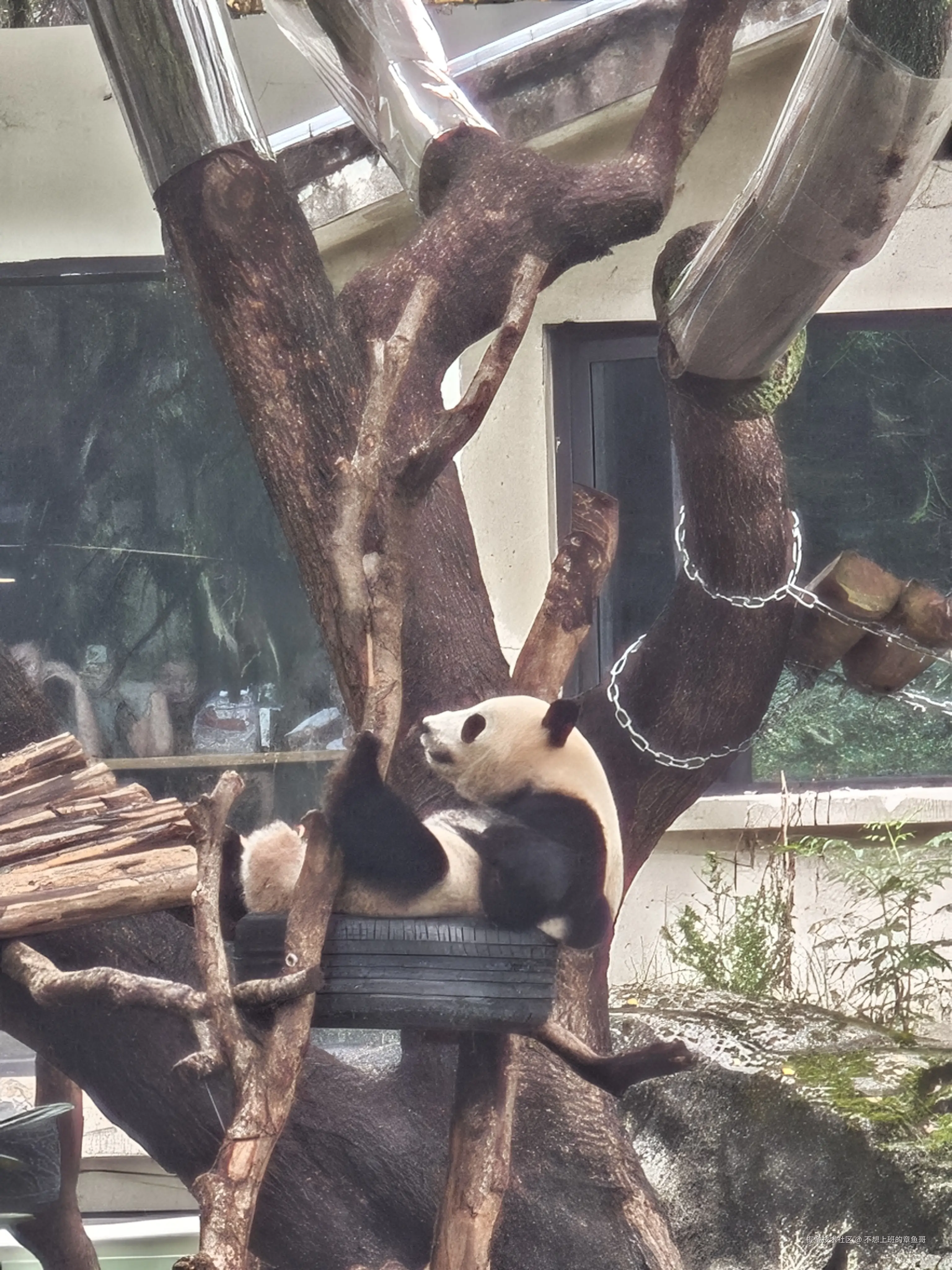 不想上班的章鱼哥于2025-10-09 11:56发布的图片