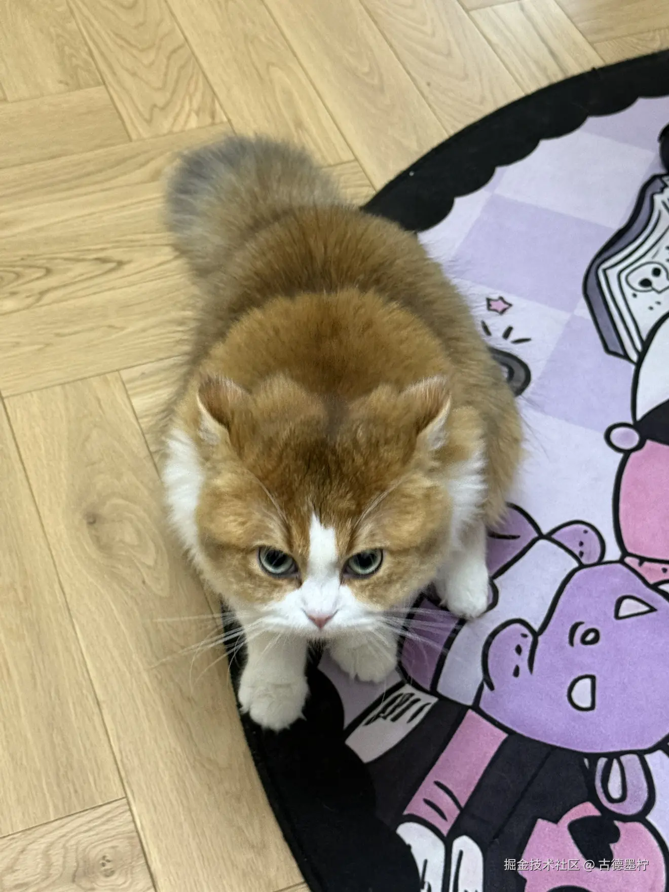 古德墨柠于2025-06-24 10:30发布的图片