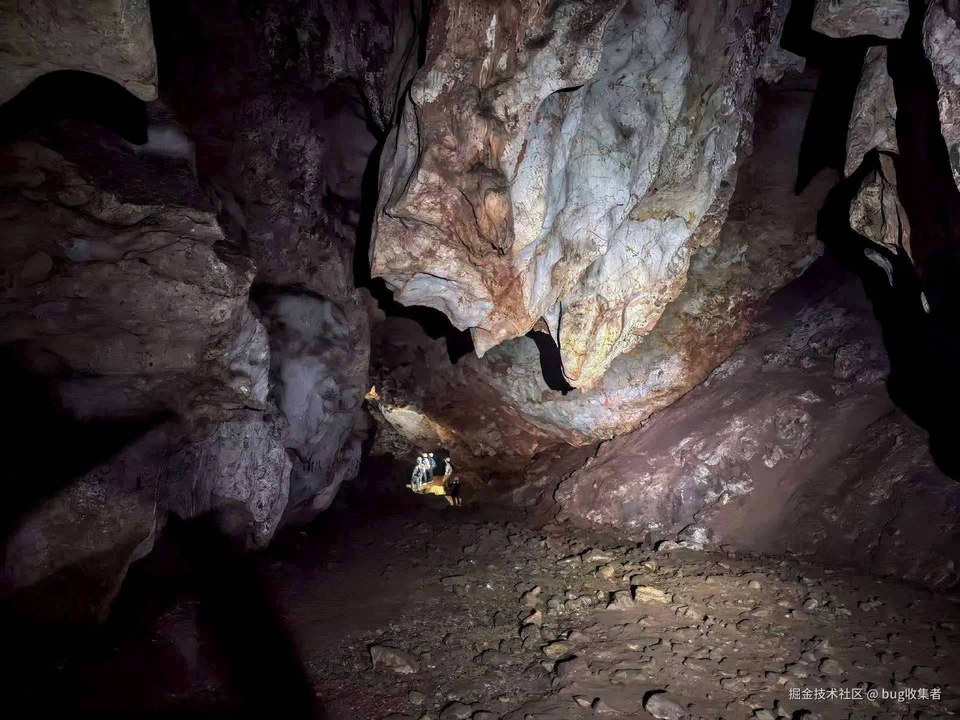 bug收集者于2025-08-11 11:32发布的图片