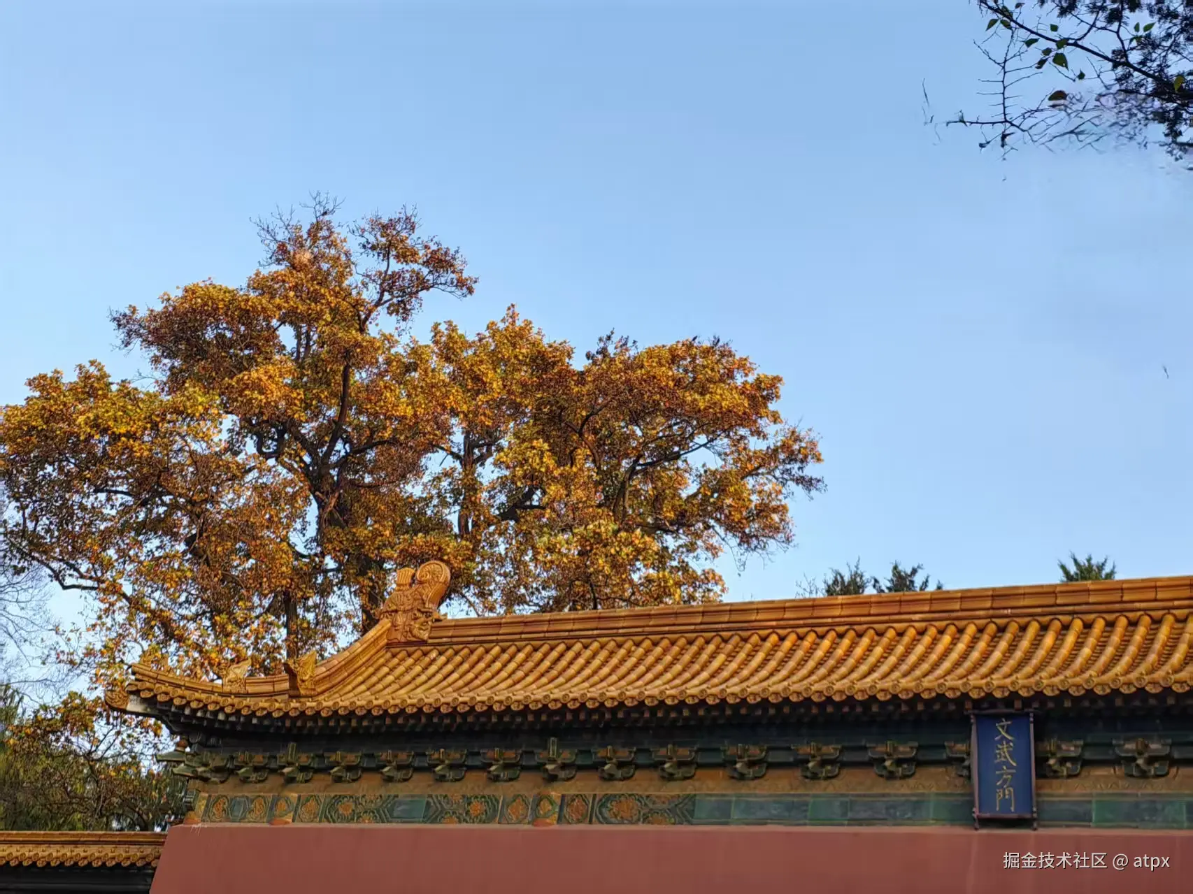 atpx于2025-11-17 10:03发布的图片