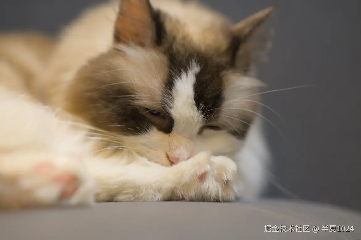 半夏1024于2024-08-05 09:56发布的图片