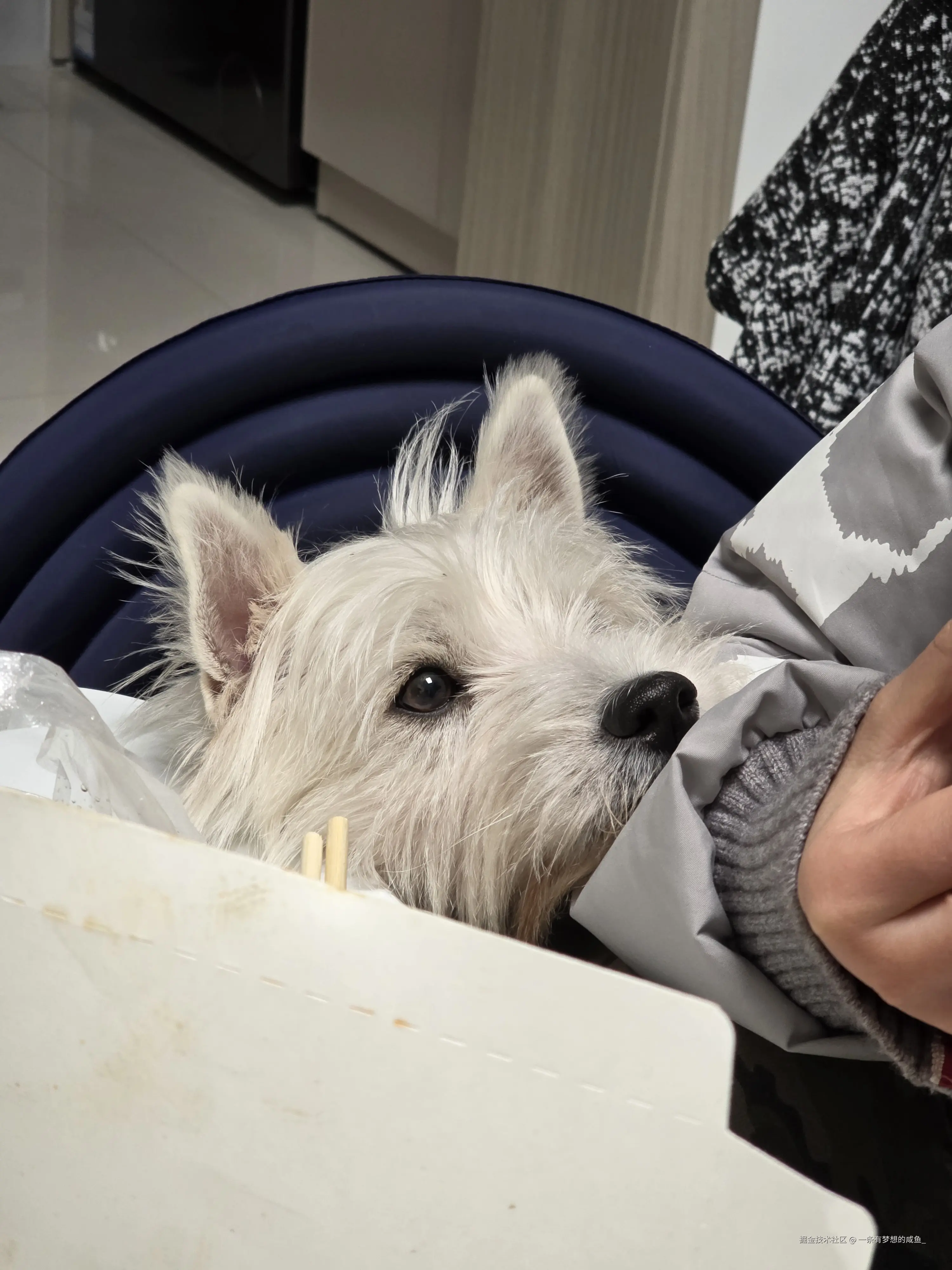 一条有梦想的咸鱼_于2025-12-24 11:02发布的图片