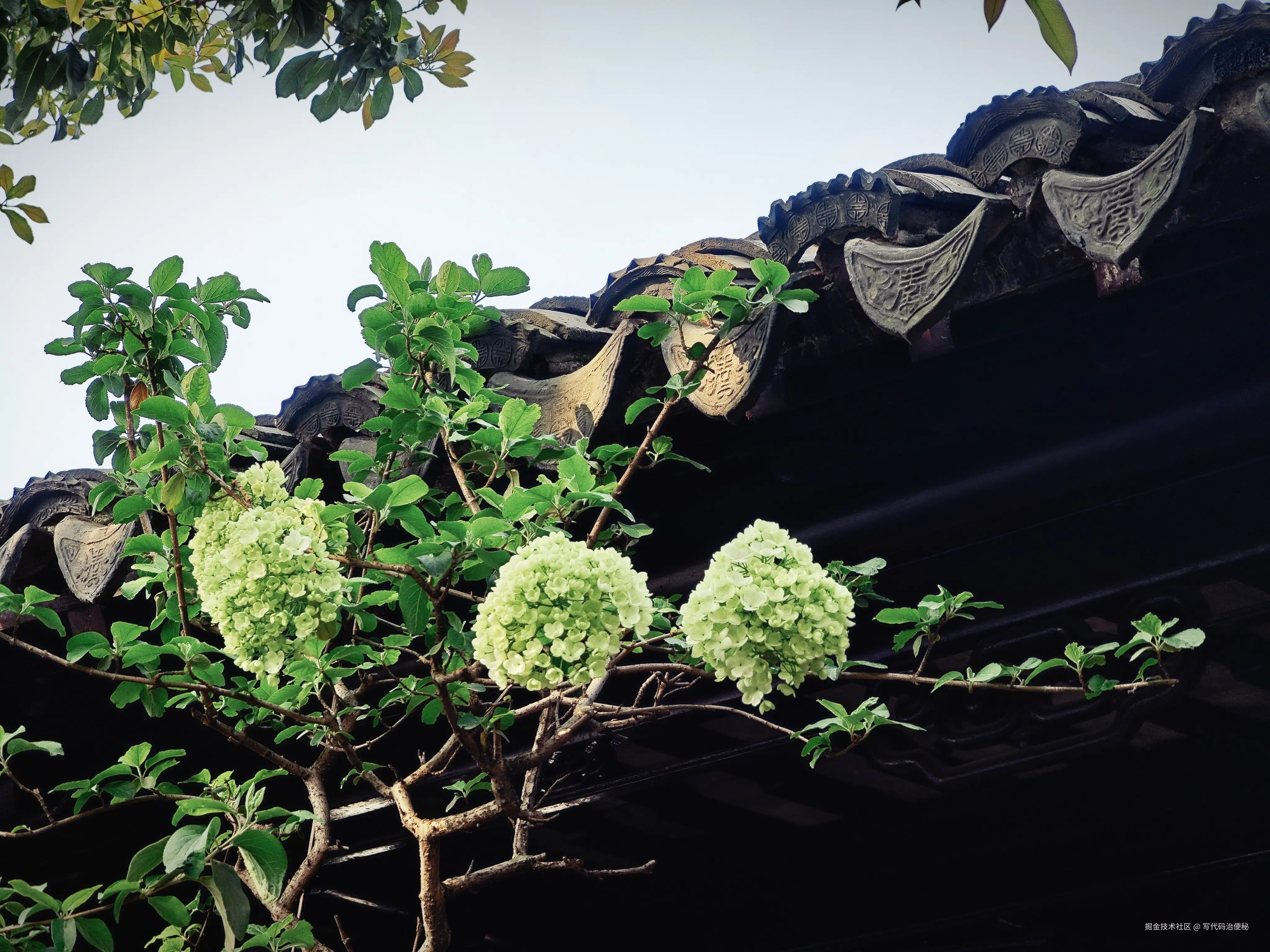 写代码治便秘于2025-04-07 10:16发布的图片