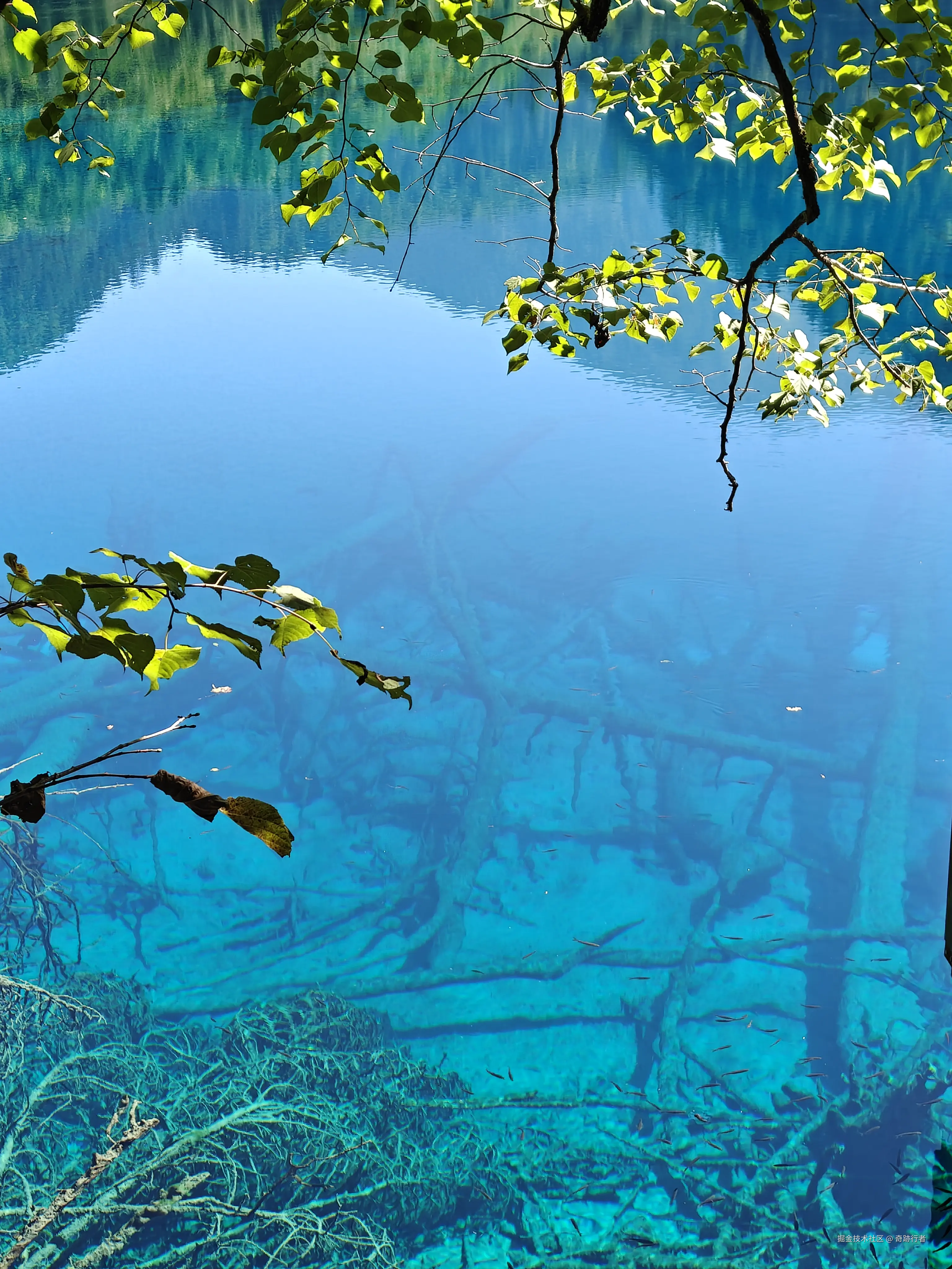 奇跡行者于2025-08-18 14:48发布的图片