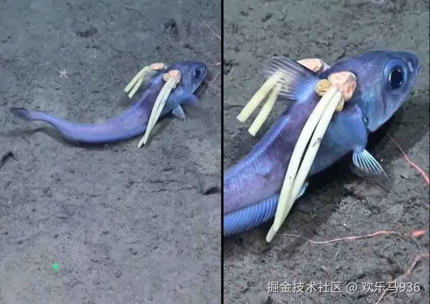 欢乐马936于2025-10-22 18:50发布的图片