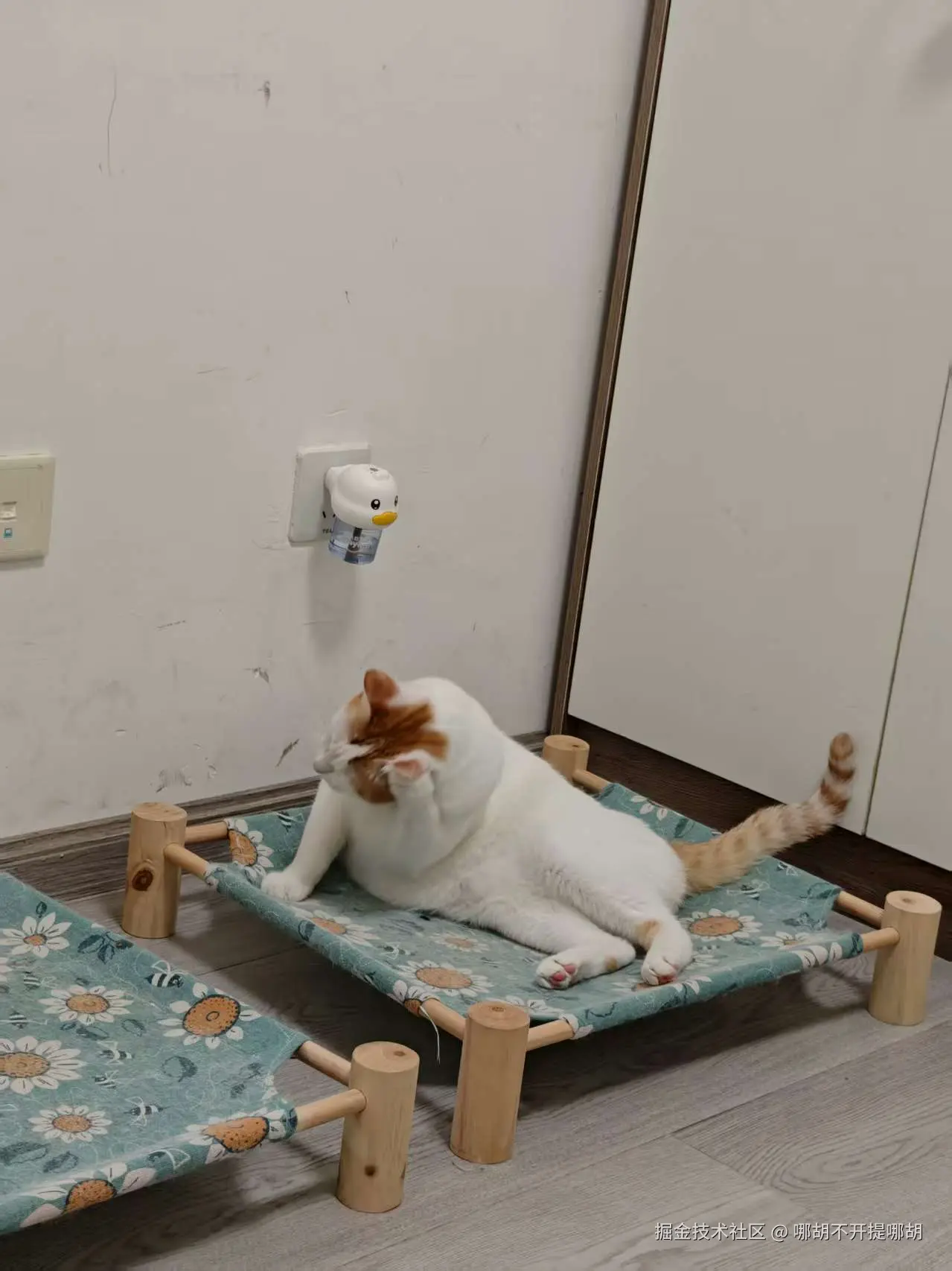 哪胡不开提哪胡于2025-09-01 11:13发布的图片