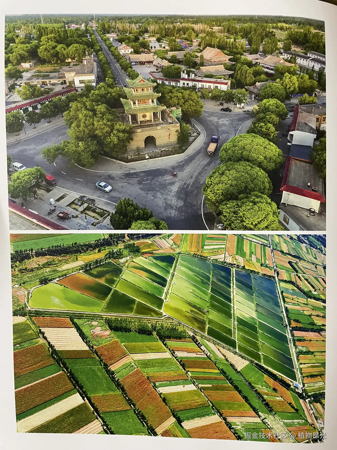 植物昂光于2026-03-19 20:22发布的图片