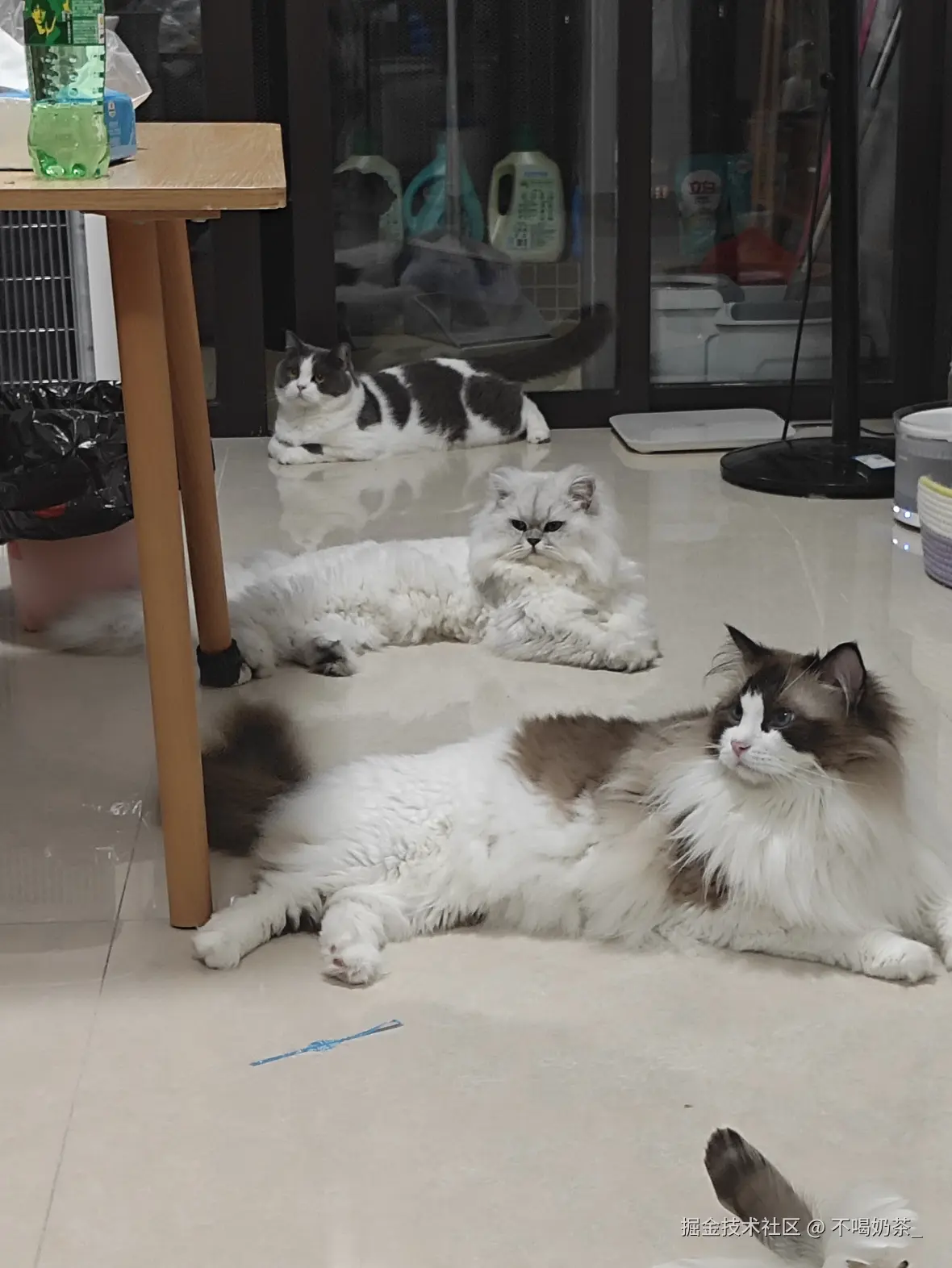 不喝奶茶_于2025-07-14 06:13发布的图片