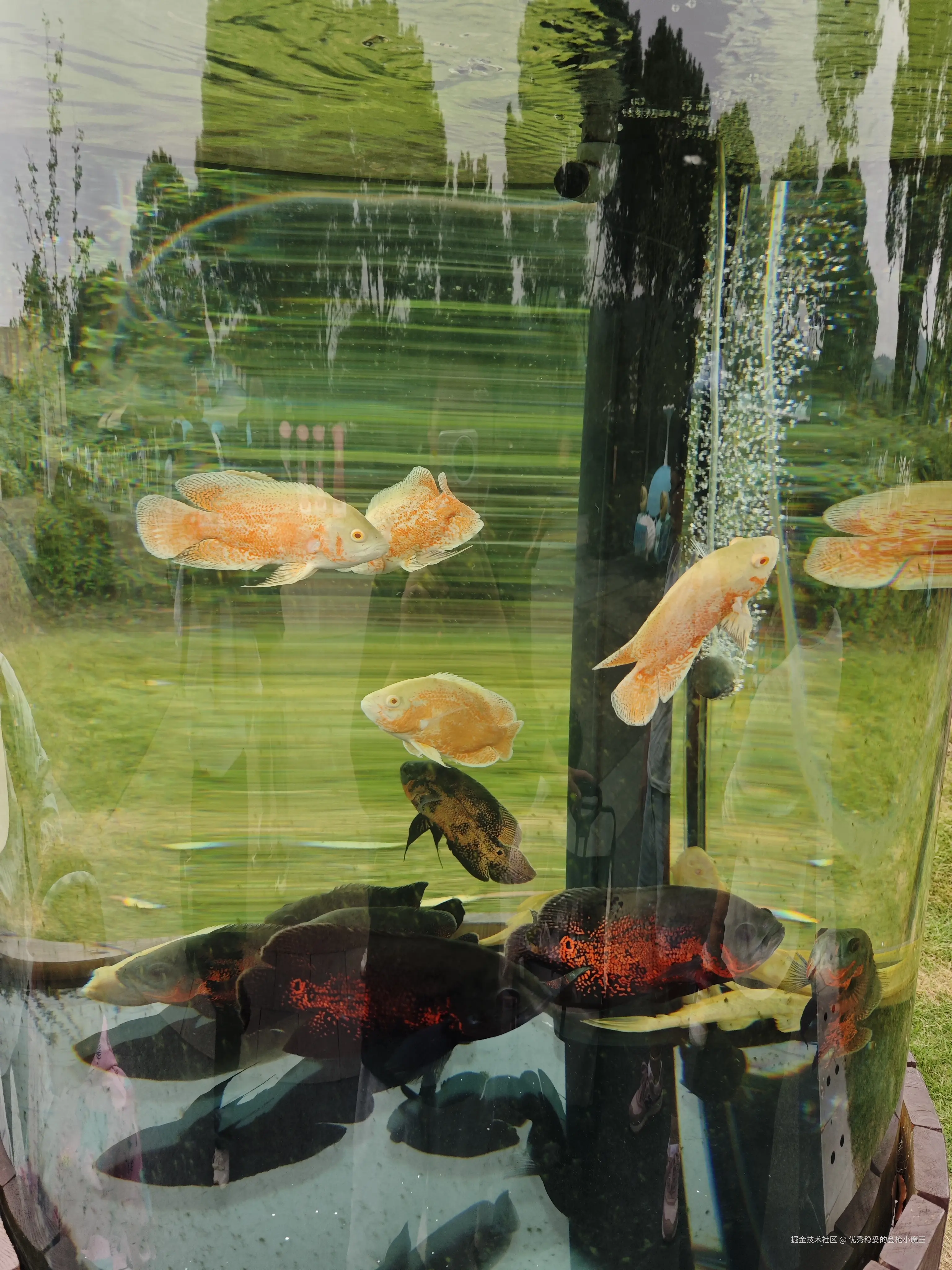 优秀稳妥的金枪小魔王于2025-09-23 09:57发布的图片