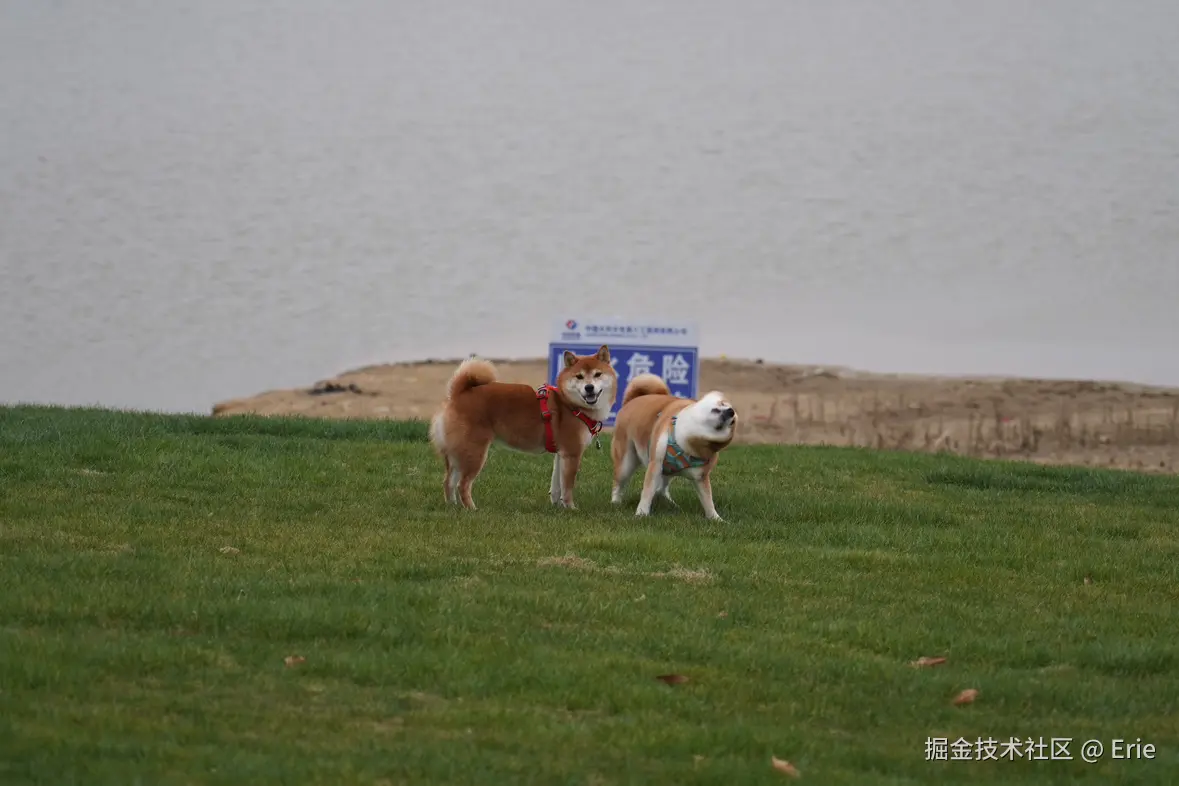 Erie于2024-12-24 10:18发布的图片