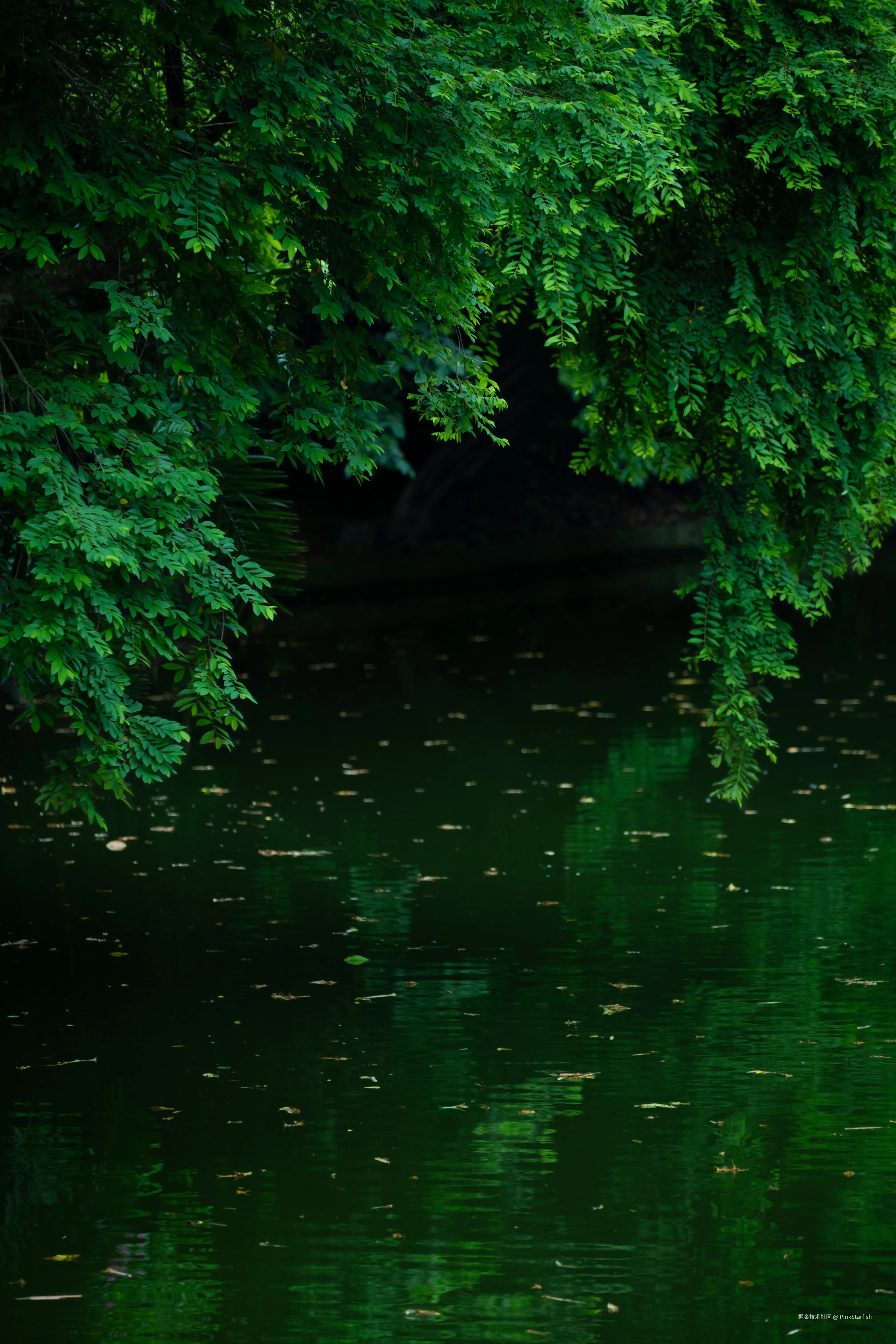 PinkStarfish于2025-07-28 15:35发布的图片