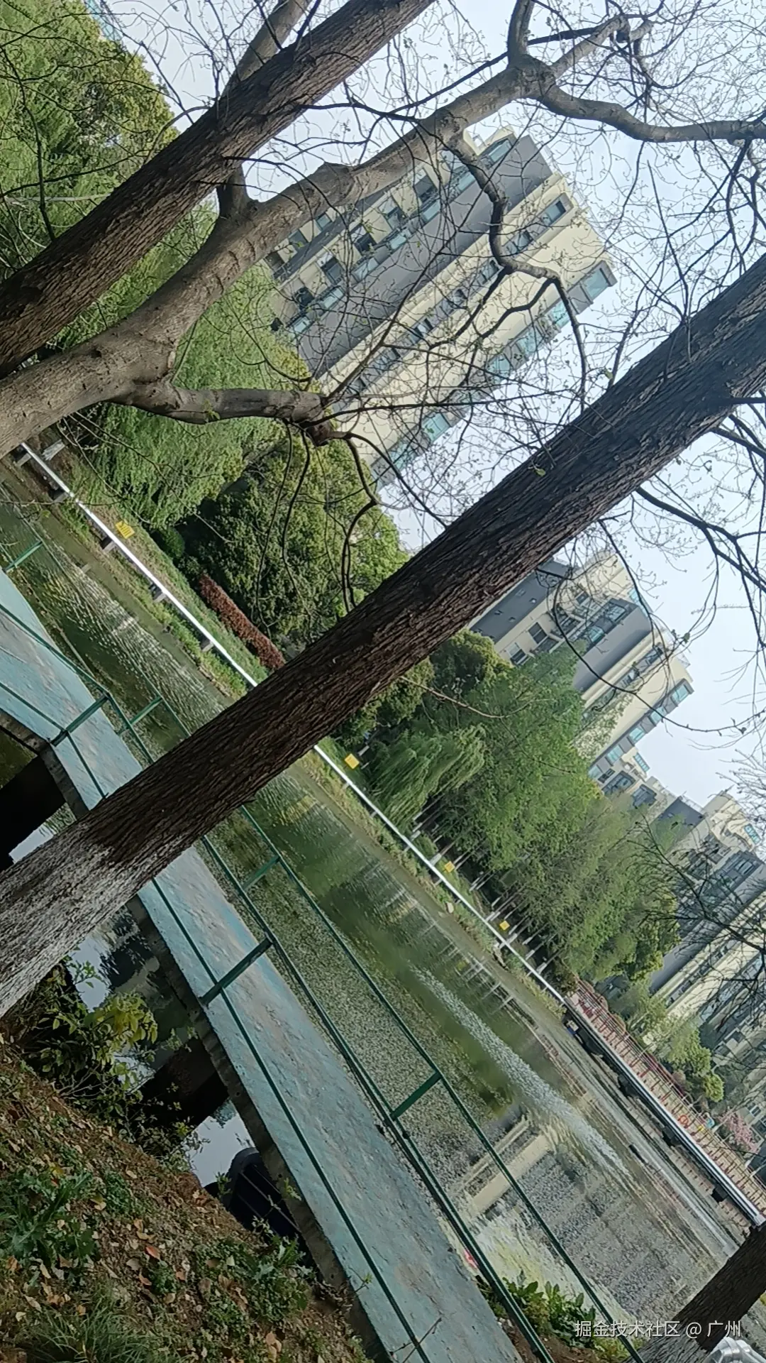 广州于2026-04-09 11:24发布的图片