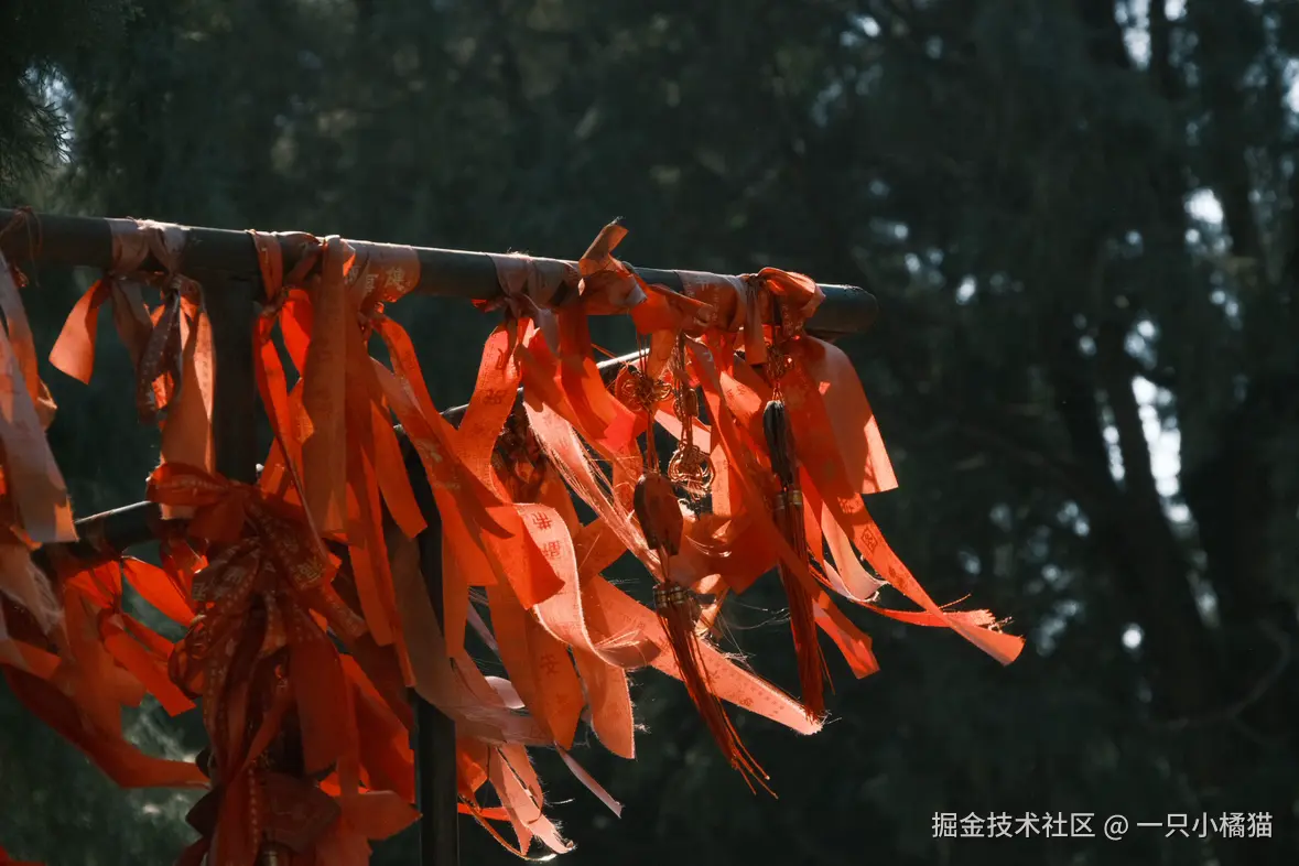 一只小橘猫于2026-02-09 09:16发布的图片