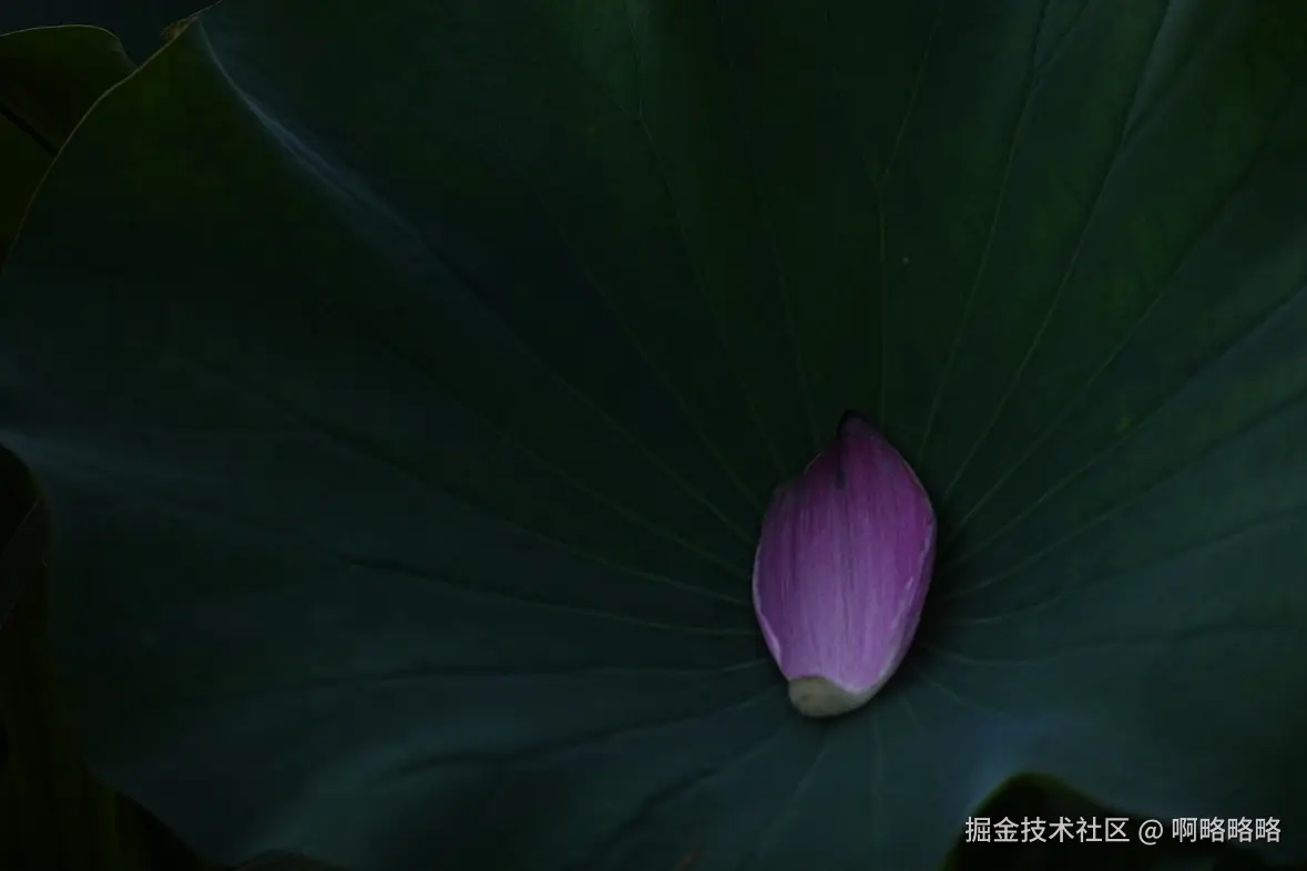 啊略略略于2025-07-07 16:37发布的图片