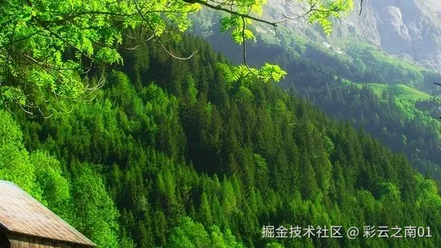 彩云之南01于2025-05-13 15:53发布的图片