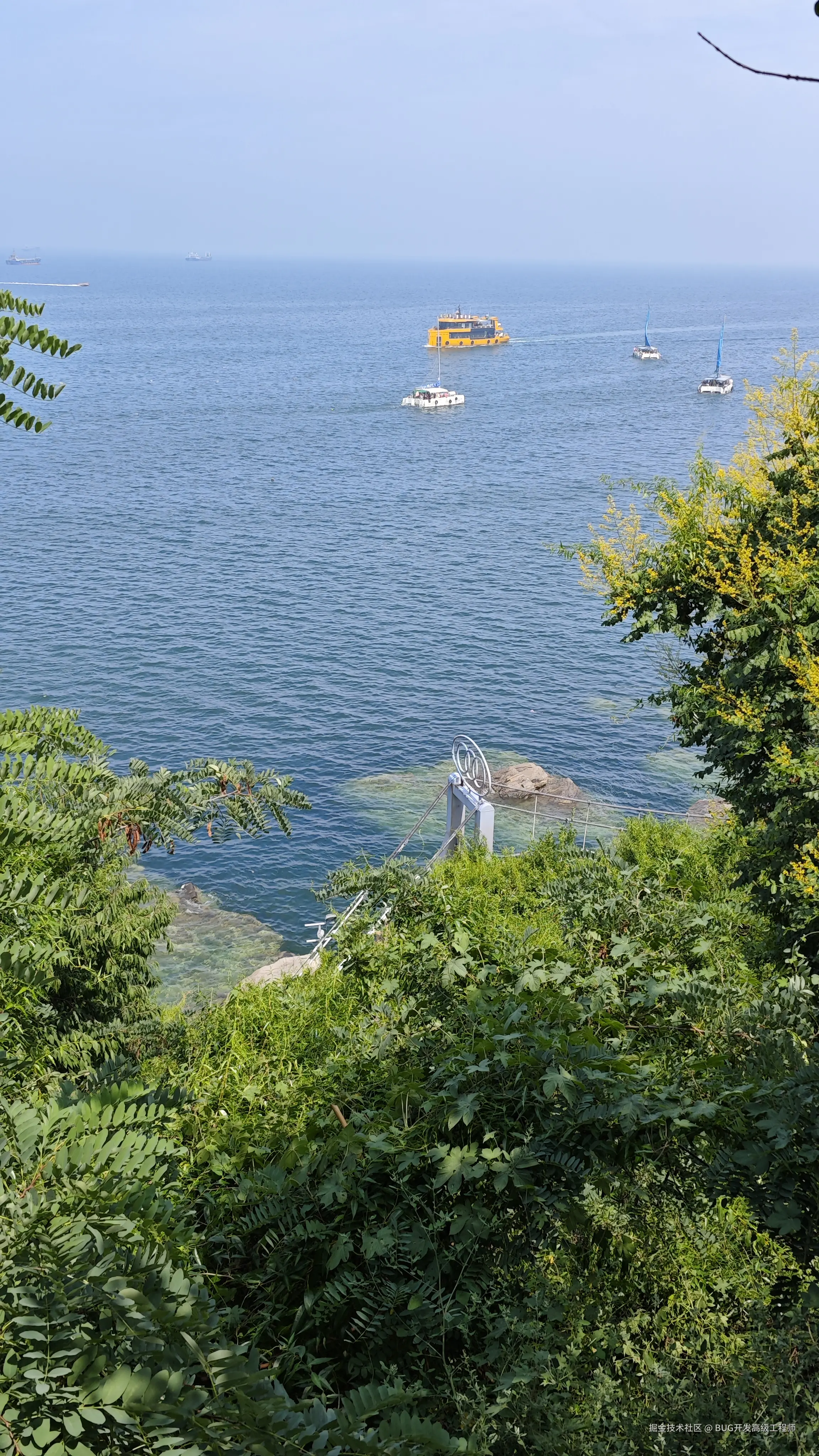 BUG开发高级工程师于2025-08-20 16:01发布的图片