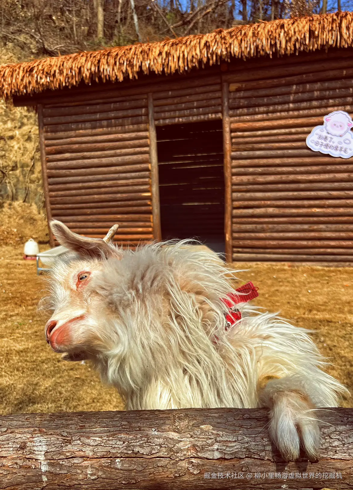 柳小里畅游虚拟世界的挖掘机于2026-02-24 10:02发布的图片