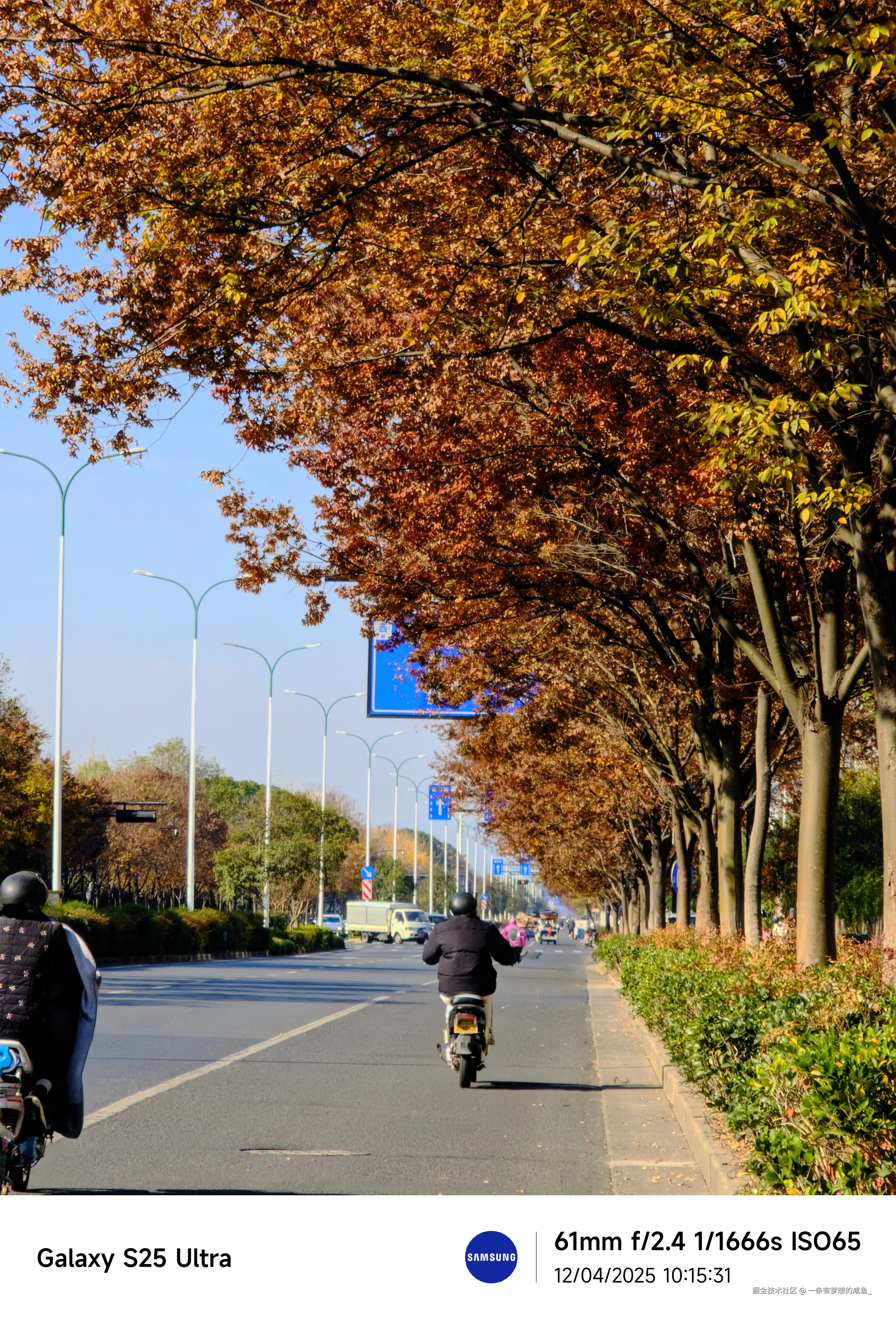 一条有梦想的咸鱼_于2025-12-04 10:48发布的图片