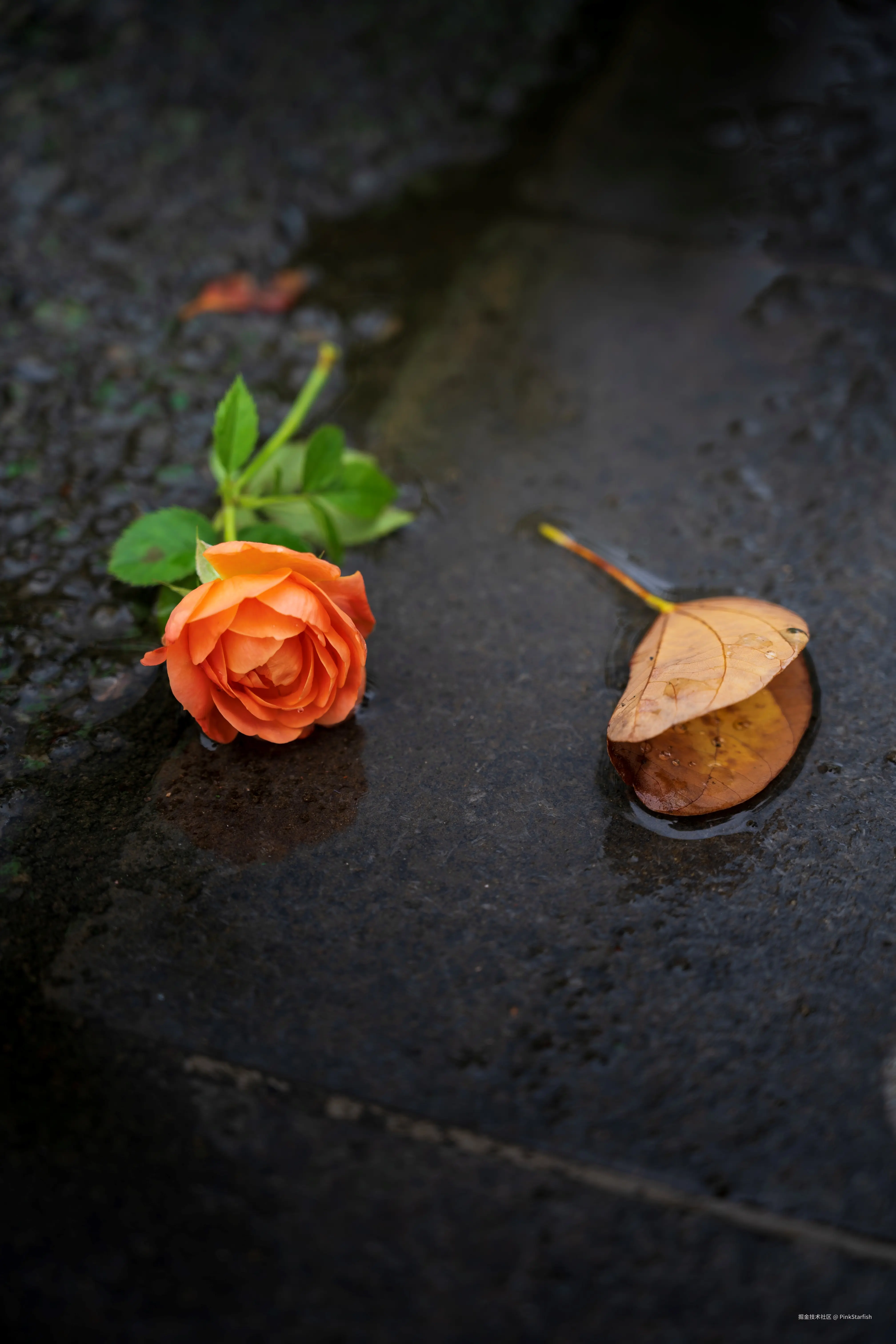 PinkStarfish于2025-06-26 11:35发布的图片