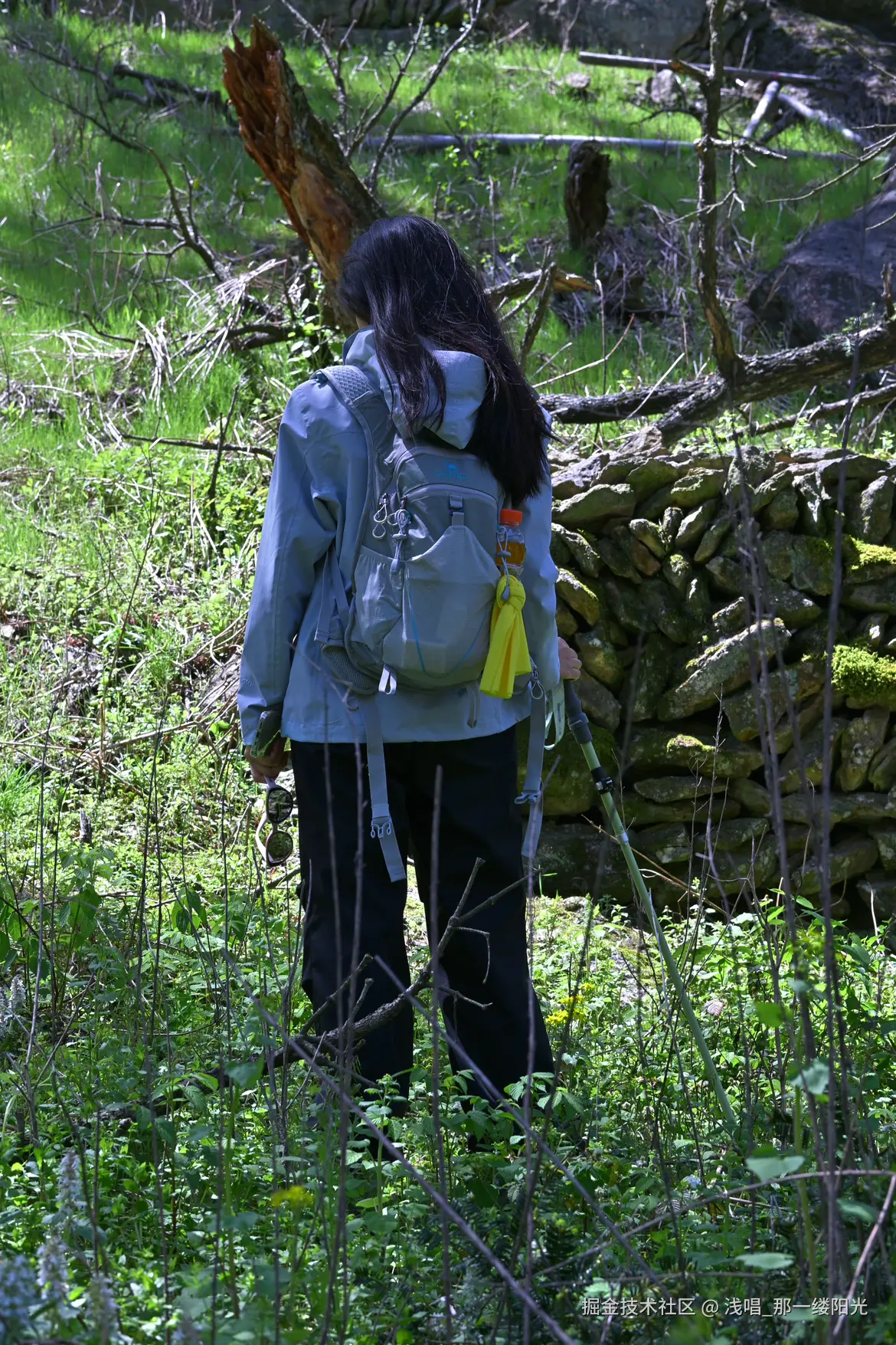 浅唱_那一缕阳光于2025-04-24 09:06发布的图片