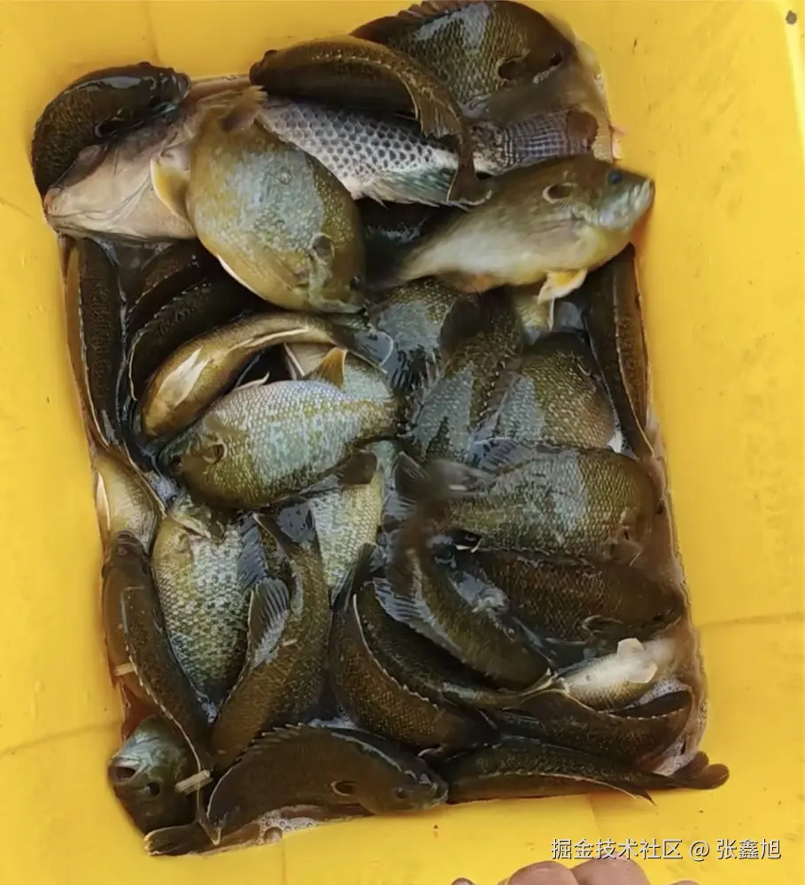 张鑫旭于2025-06-06 10:22发布的图片