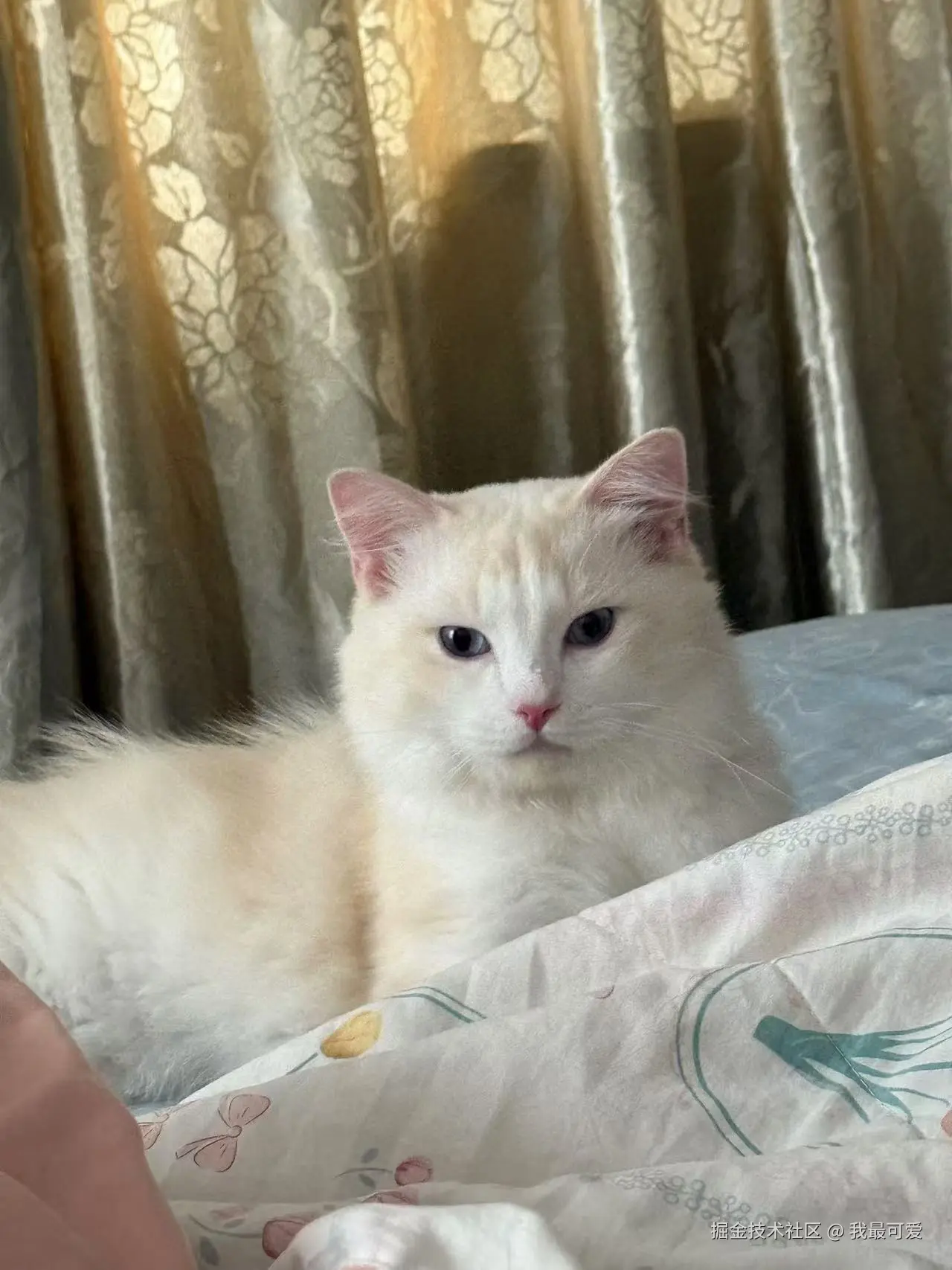 我最可爱于2025-08-01 14:51发布的图片