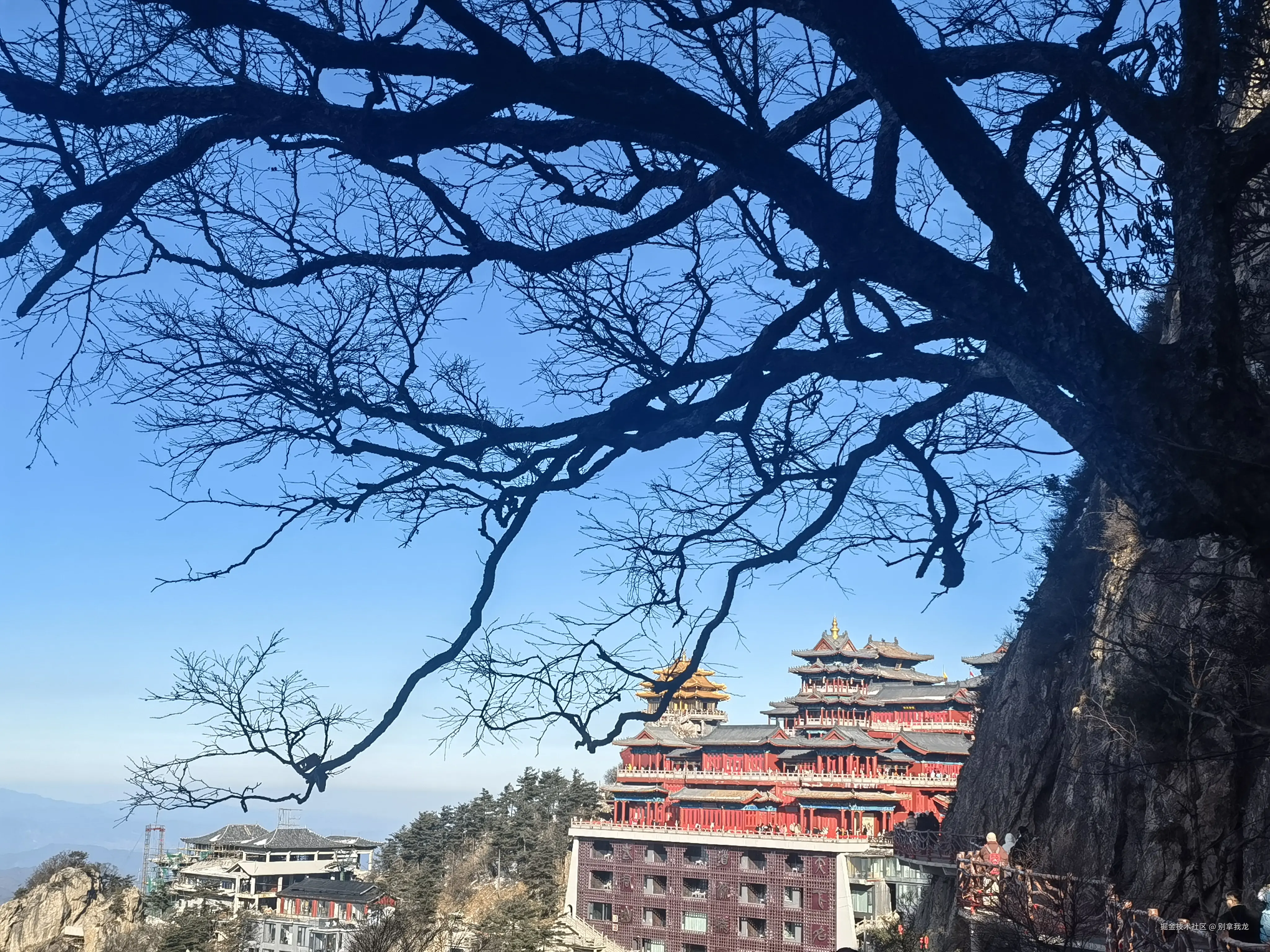别拿我龙于2025-01-21 03:58发布的图片