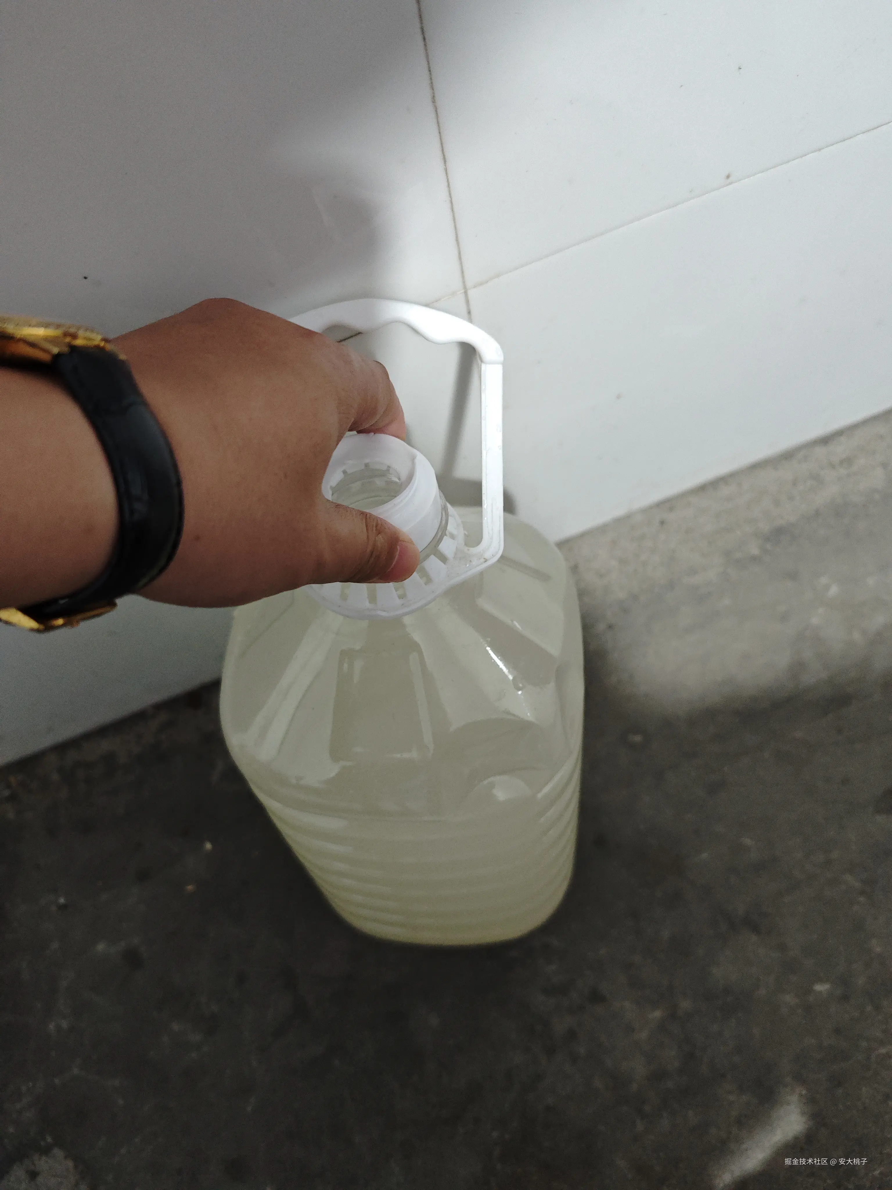 安大桃子于2026-02-15 17:49发布的图片