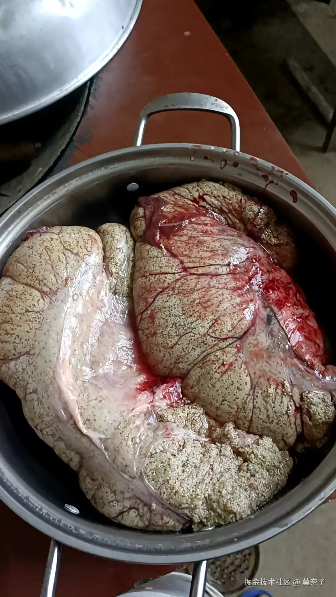 莫奈子于2025-04-10 19:07发布的图片