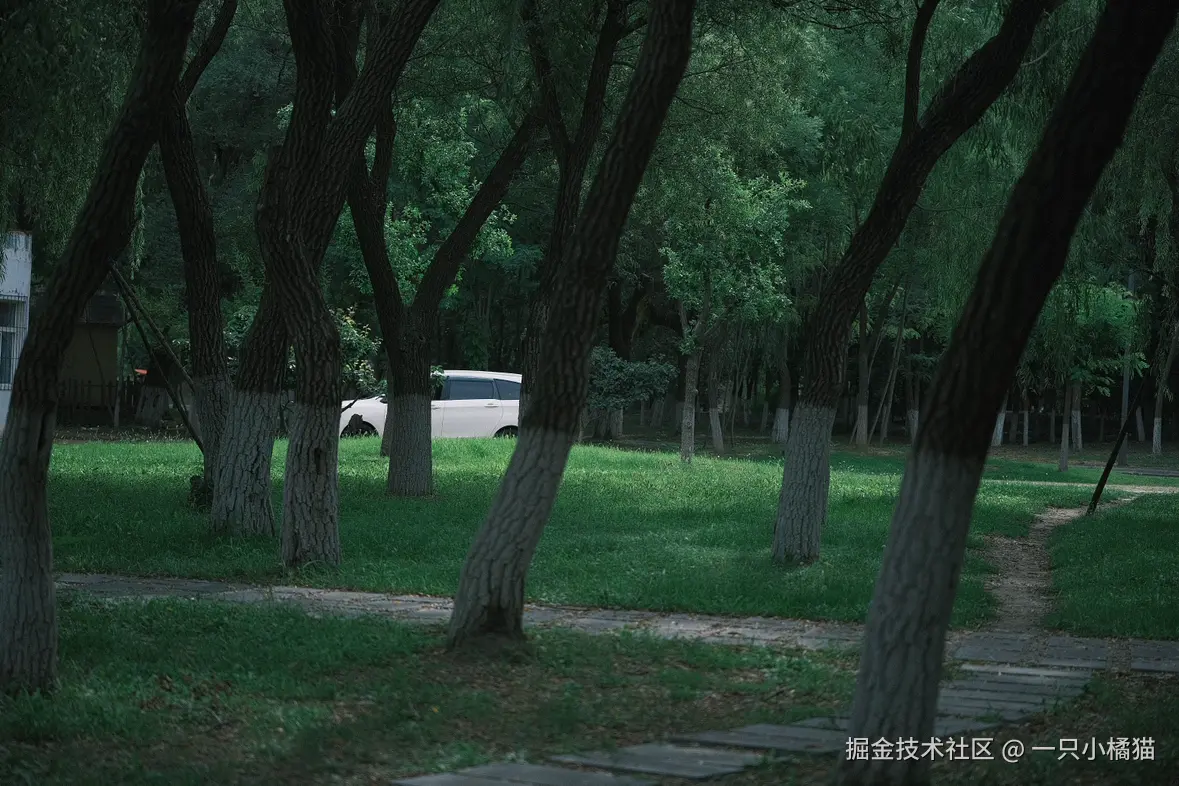 一只小橘猫于2025-08-08 13:38发布的图片