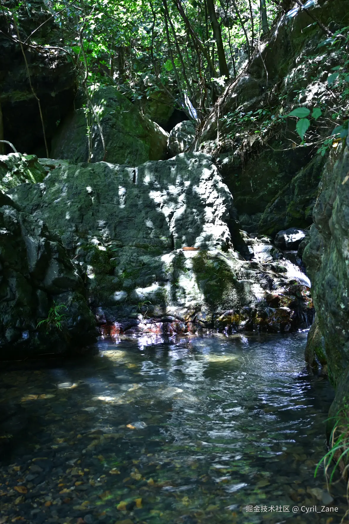 Cyril_Zane于2025-08-11 11:12发布的图片